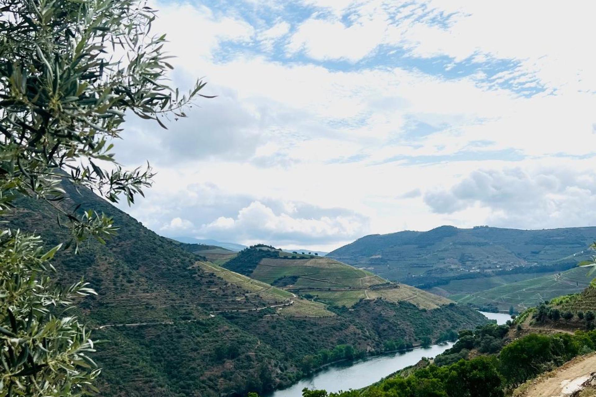 Descubra a Quinta da Pinguinha: O Refúgio Perfeito para Casais, Famílias e Viagens de Negócios - Imagem 23