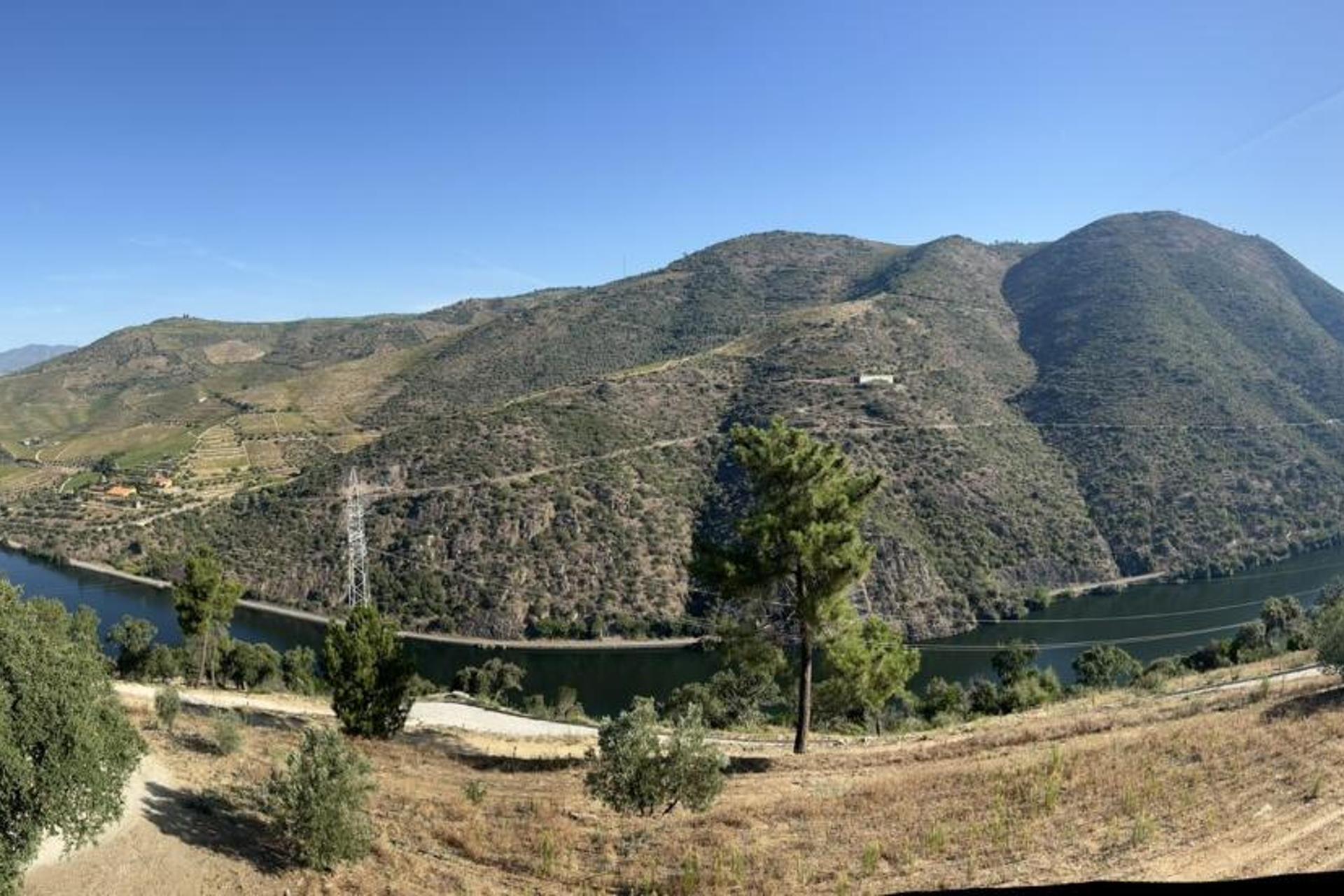 Descubra a Quinta da Pinguinha: O Refúgio Perfeito para Casais, Famílias e Viagens de Negócios - Imagem 25