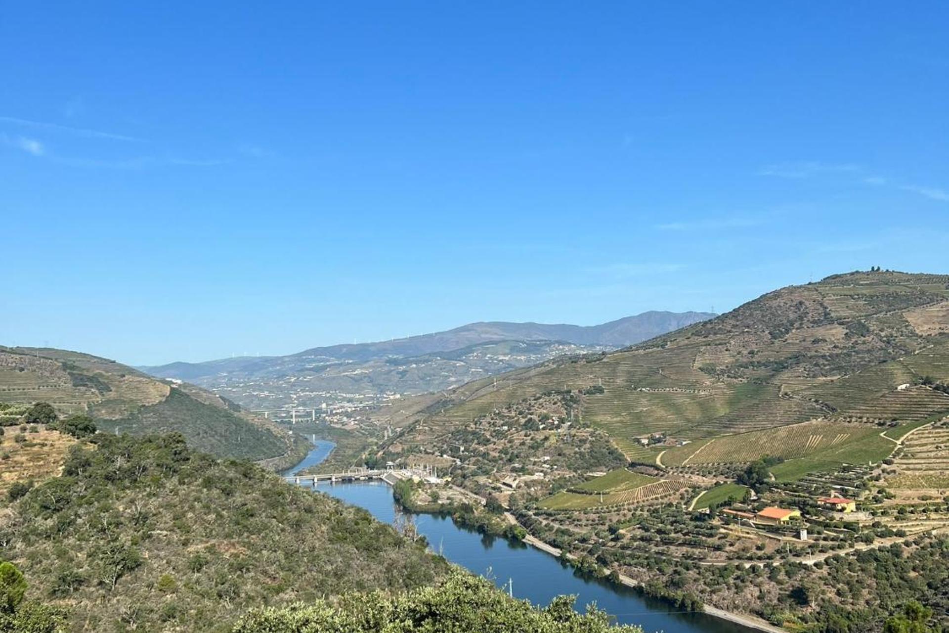 Descubra a Quinta da Pinguinha: O Refúgio Perfeito para Casais, Famílias e Viagens de Negócios - Imagem 27