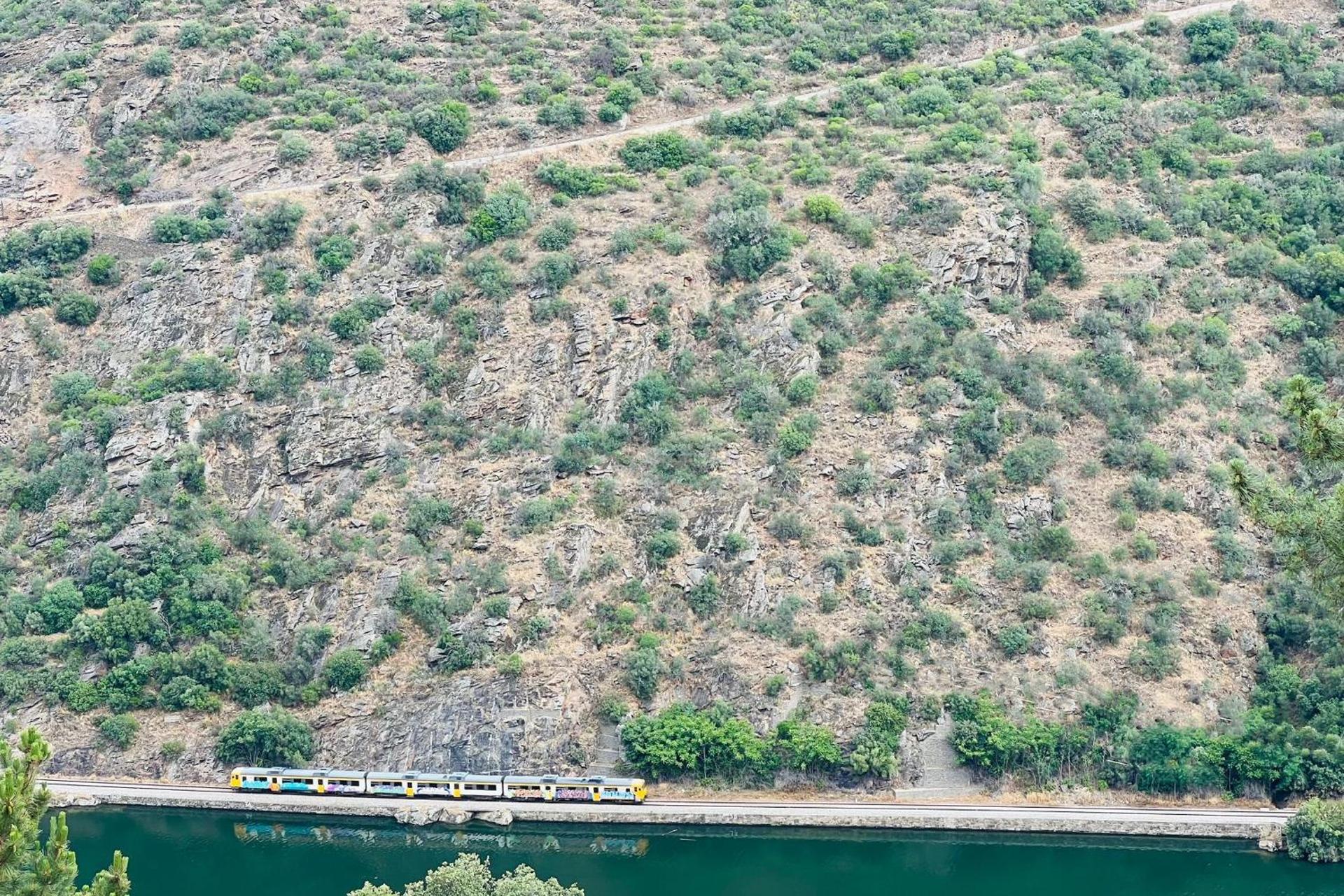 Descubra a Quinta da Pinguinha: O Refúgio Perfeito para Casais, Famílias e Viagens de Negócios - Imagem 42