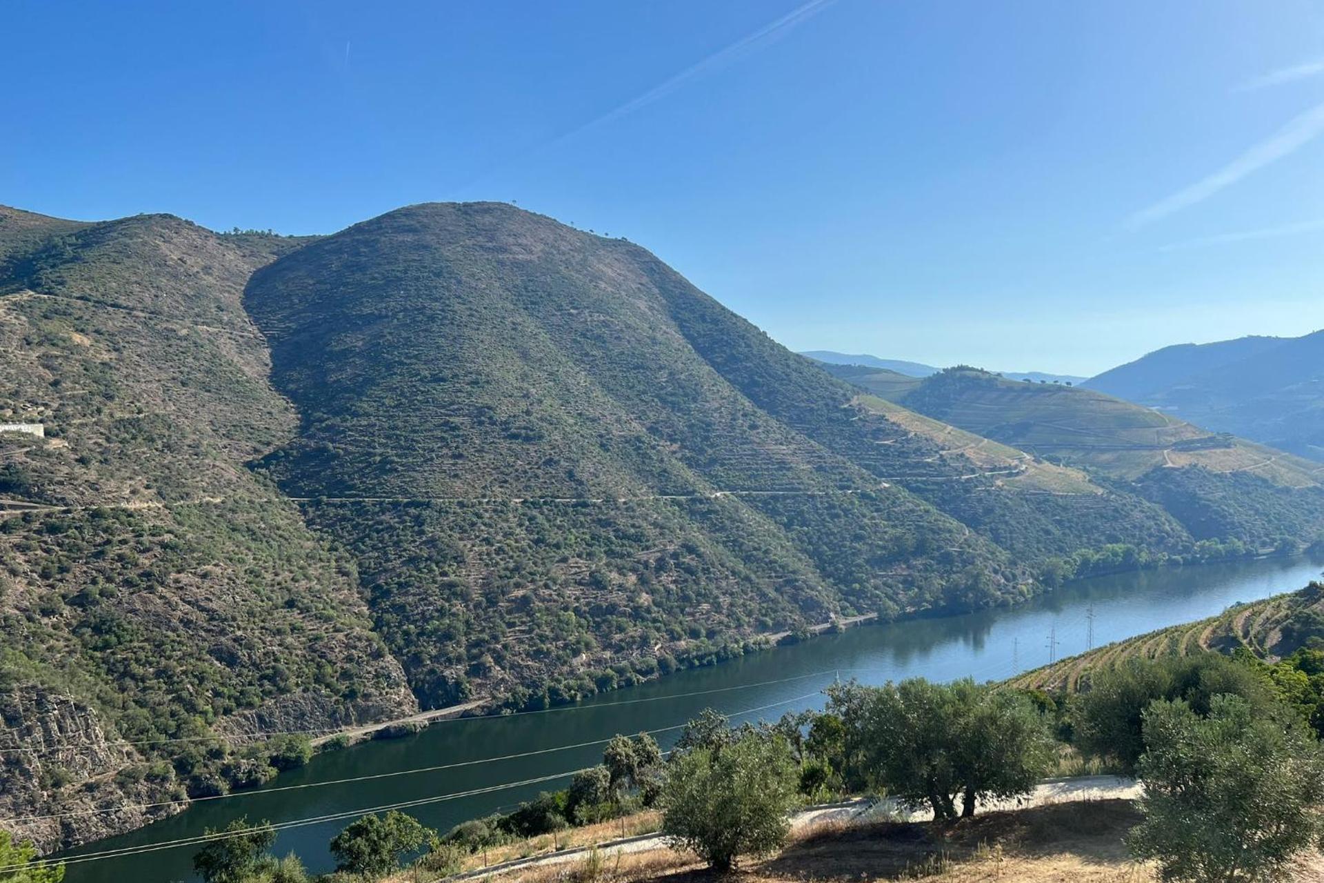 Descubra a Quinta da Pinguinha: O Refúgio Perfeito para Casais, Famílias e Viagens de Negócios - Imagem 44