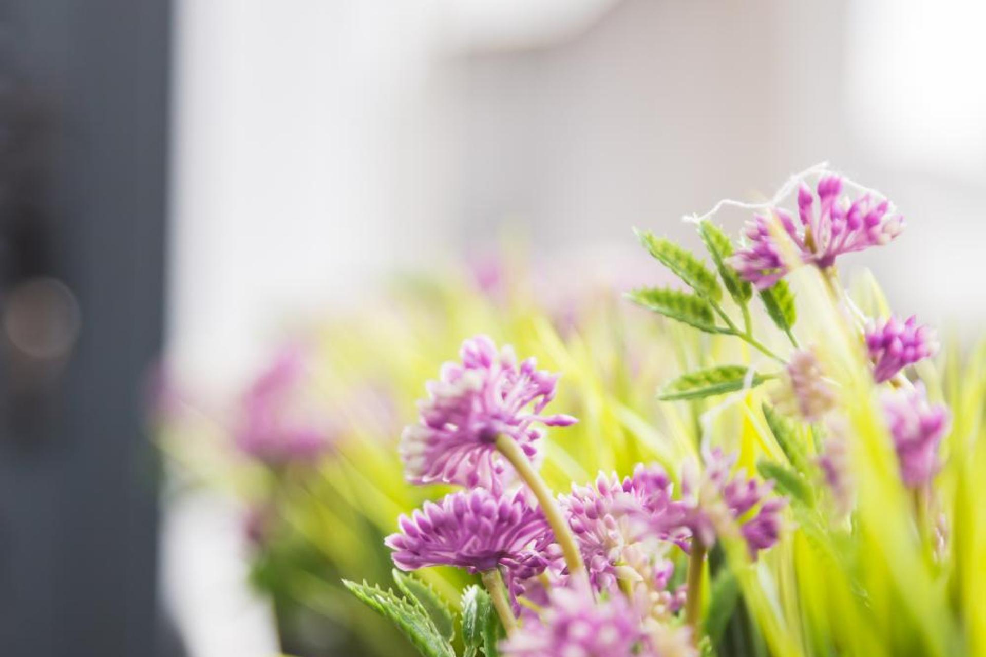 Descubra a Quinta da Salada - Alojamento Local no Douro - Imagem 28