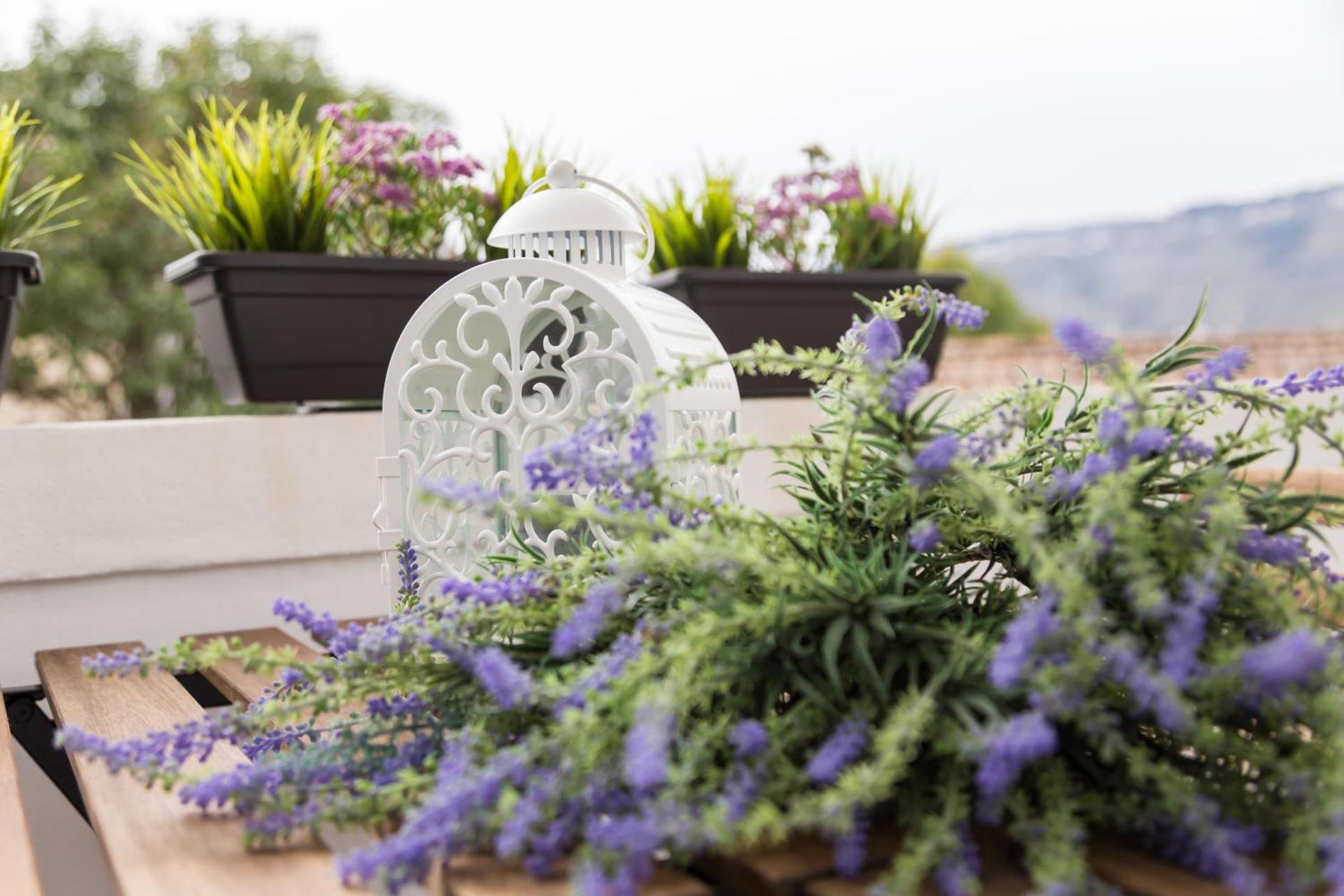 Descubra a Quinta da Salada - Alojamento Local no Douro - Imagem 63