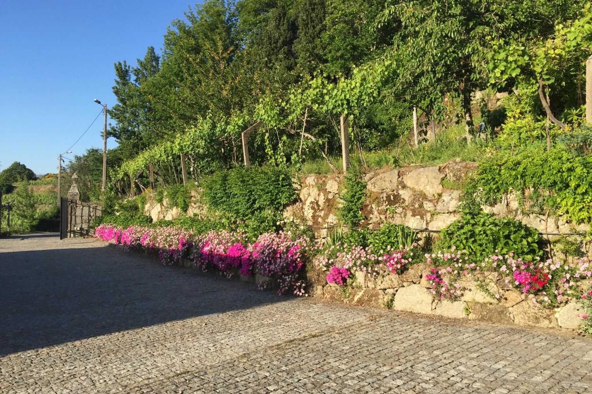Descubra a Quinta de CasalMato: A Sua Experiência de Hospitalidade Inigualável - Imagem 32