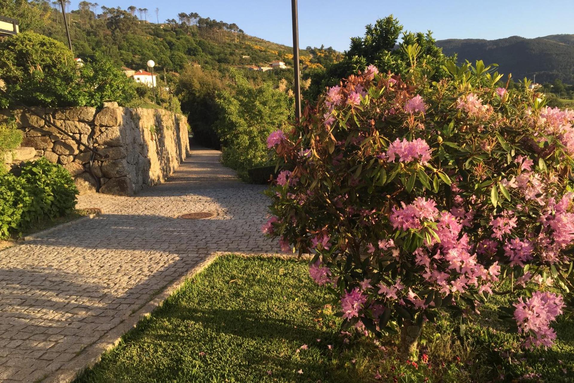 Descubra a Quinta de CasalMato: A Sua Experiência de Hospitalidade Inigualável - Imagem 77