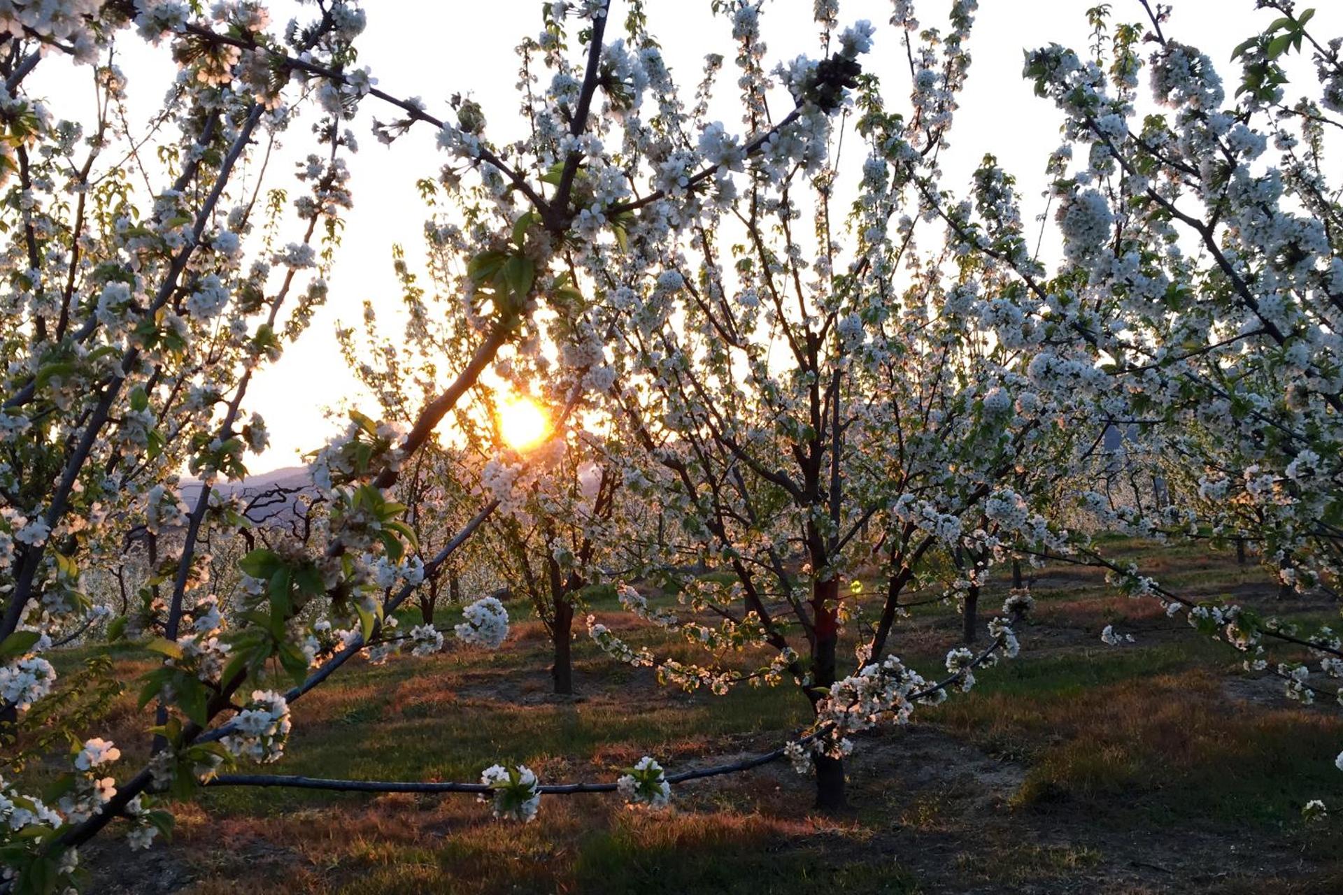 Descubra a Quinta de CasalMato: A Sua Experiência de Hospitalidade Inigualável - Imagem 91
