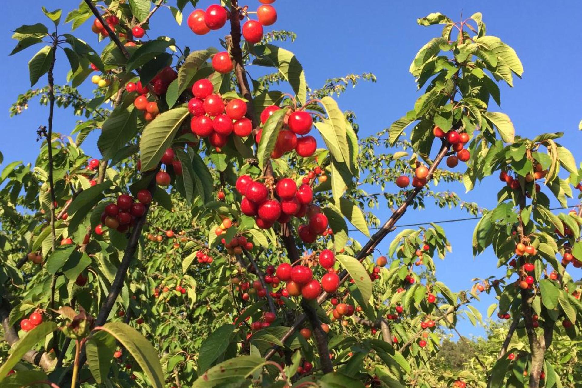 Descubra a Quinta de CasalMato: Um Refúgio de Experiência e Conforto - Imagem 38