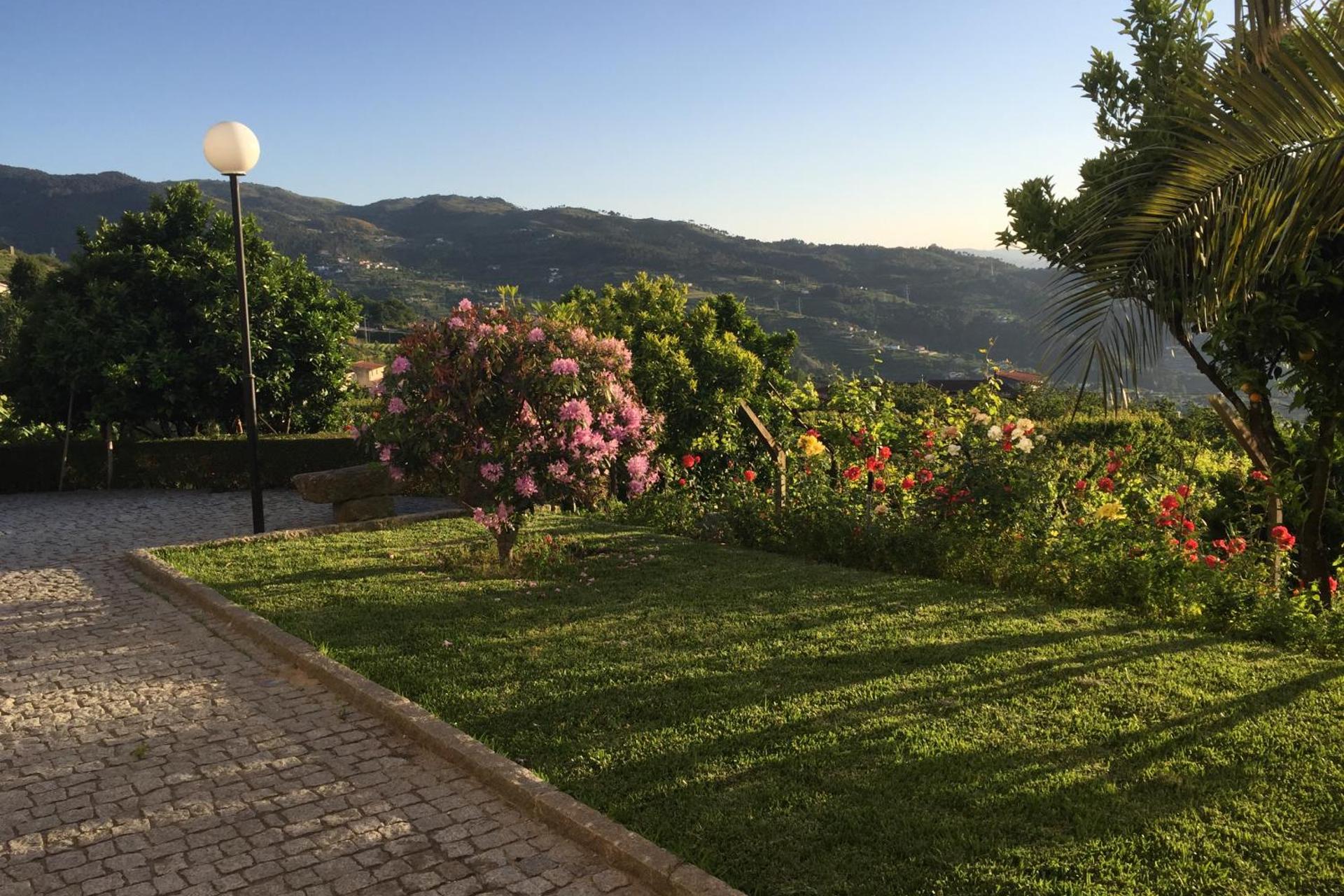 Descubra a Quinta de CasalMato: Um Refúgio de Experiência e Conforto - Imagem 43