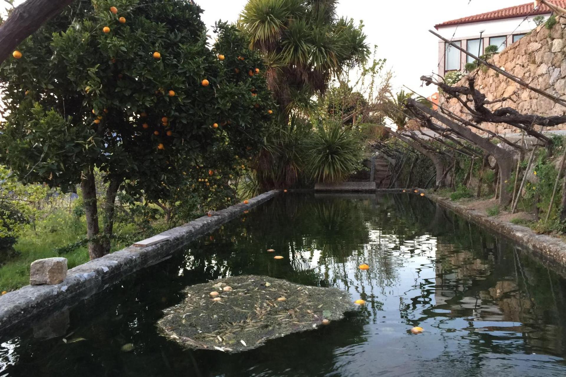 Descubra a Quinta de CasalMato: Um Refúgio de Experiência e Conforto - Imagem 44