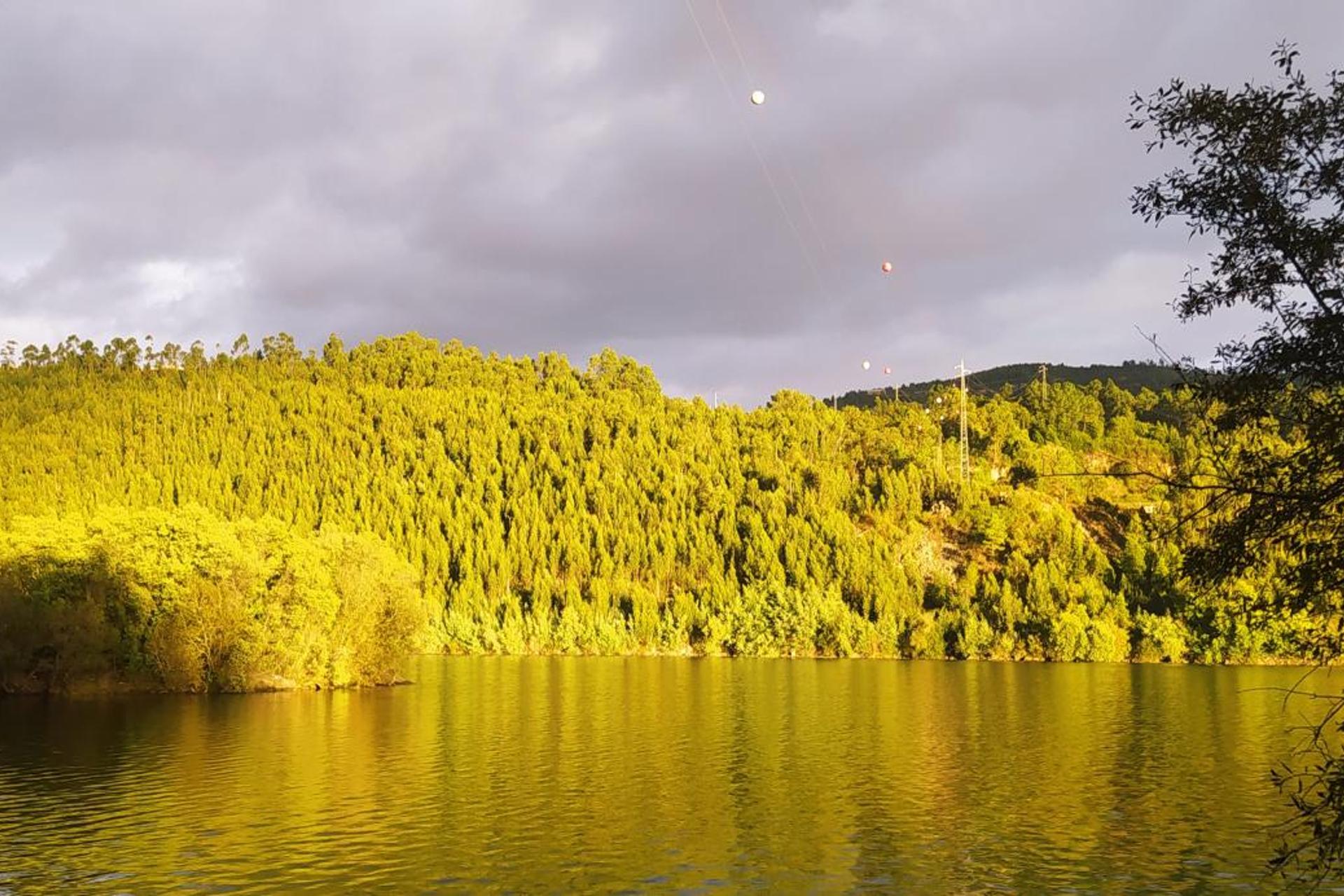 Descubra Quinta do Regato Douro: O Refúgio Perfeito para Todos - Imagem 40