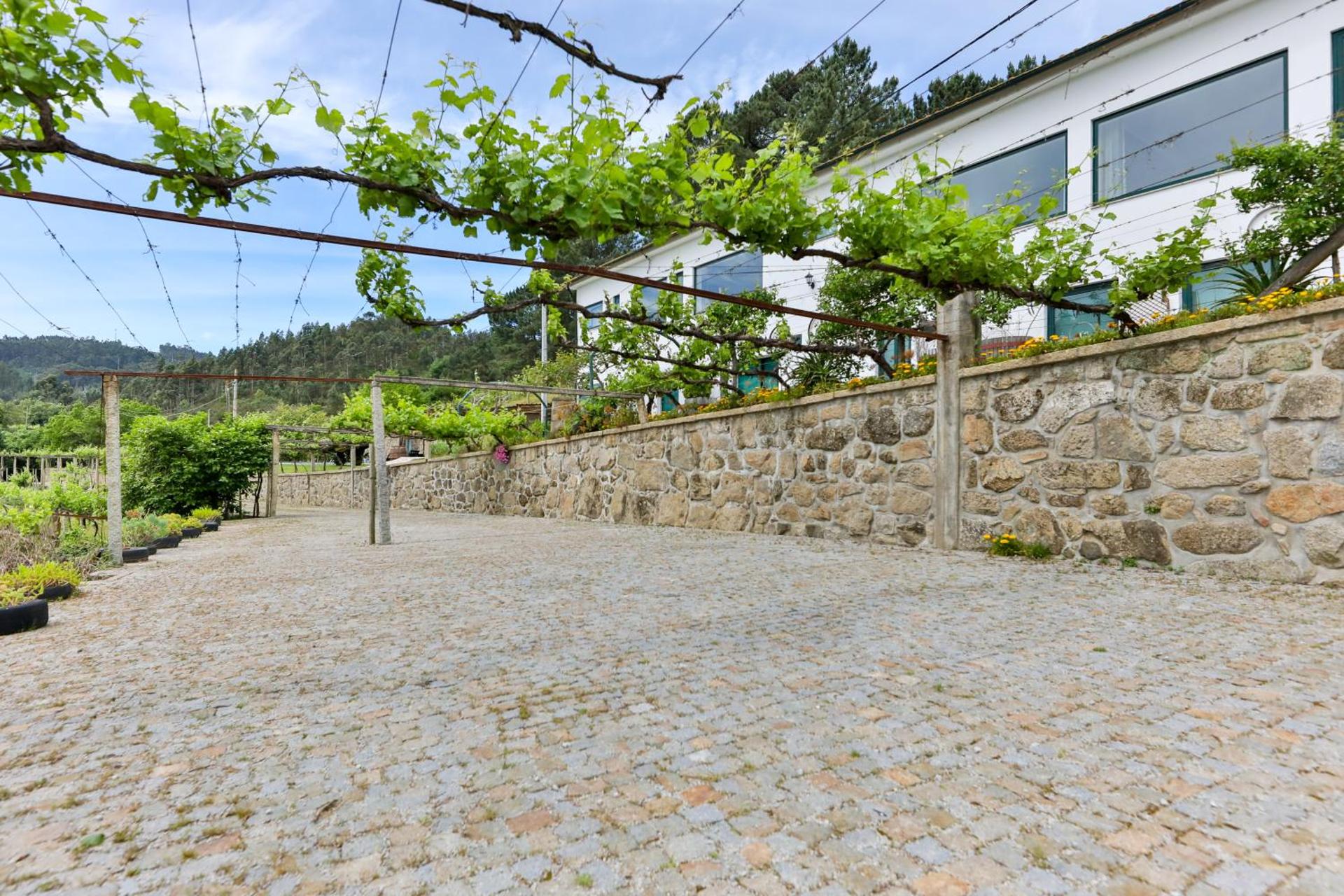 Descubra Quinta do Regato Douro: O Refúgio Perfeito para Todos - Imagem 71