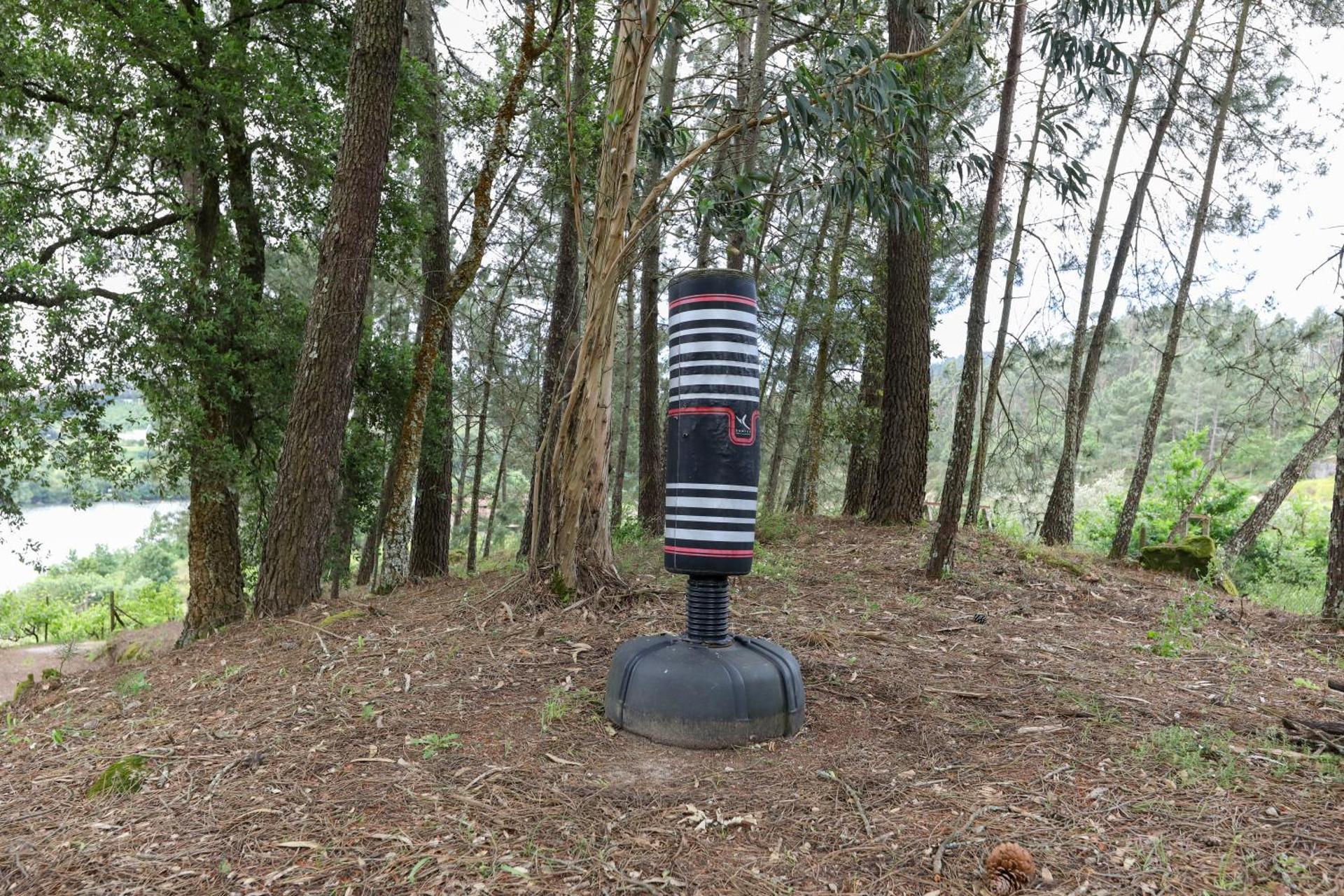 Descubra Quinta do Regato Douro: O Refúgio Perfeito para Todos - Imagem 93