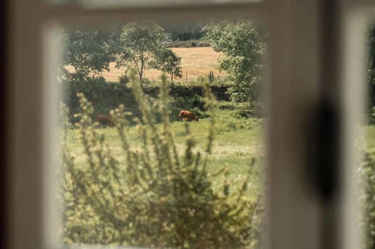 Quinta do Rio Noémi - Image 11