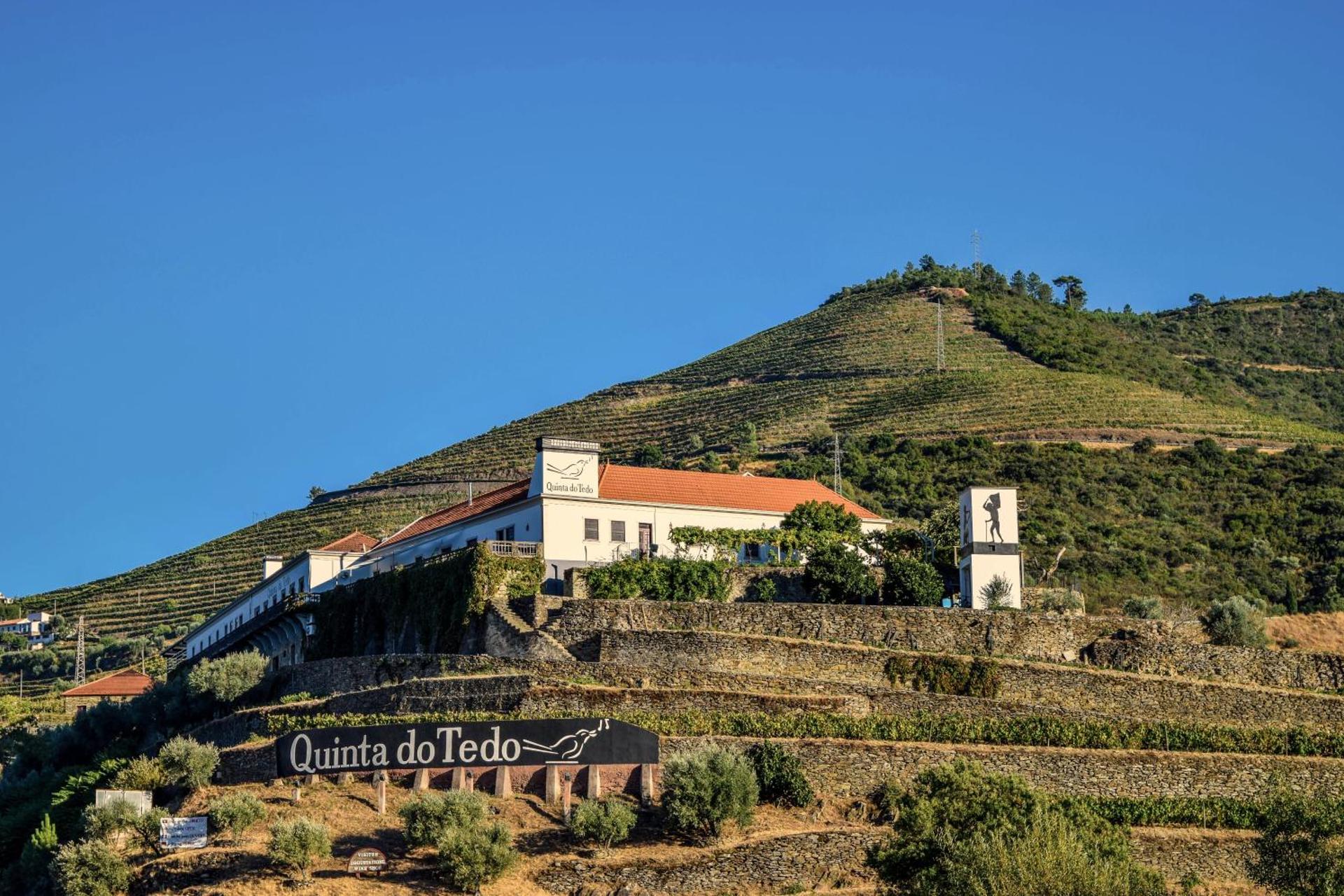 Quinta do Tedo - Image 19