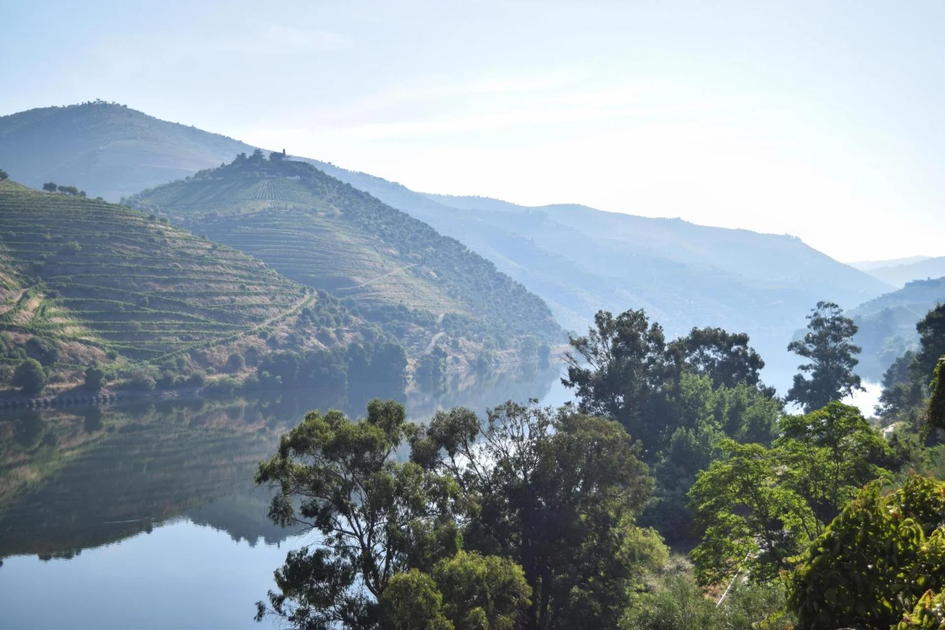 Quinta do Tedo - Image 20
