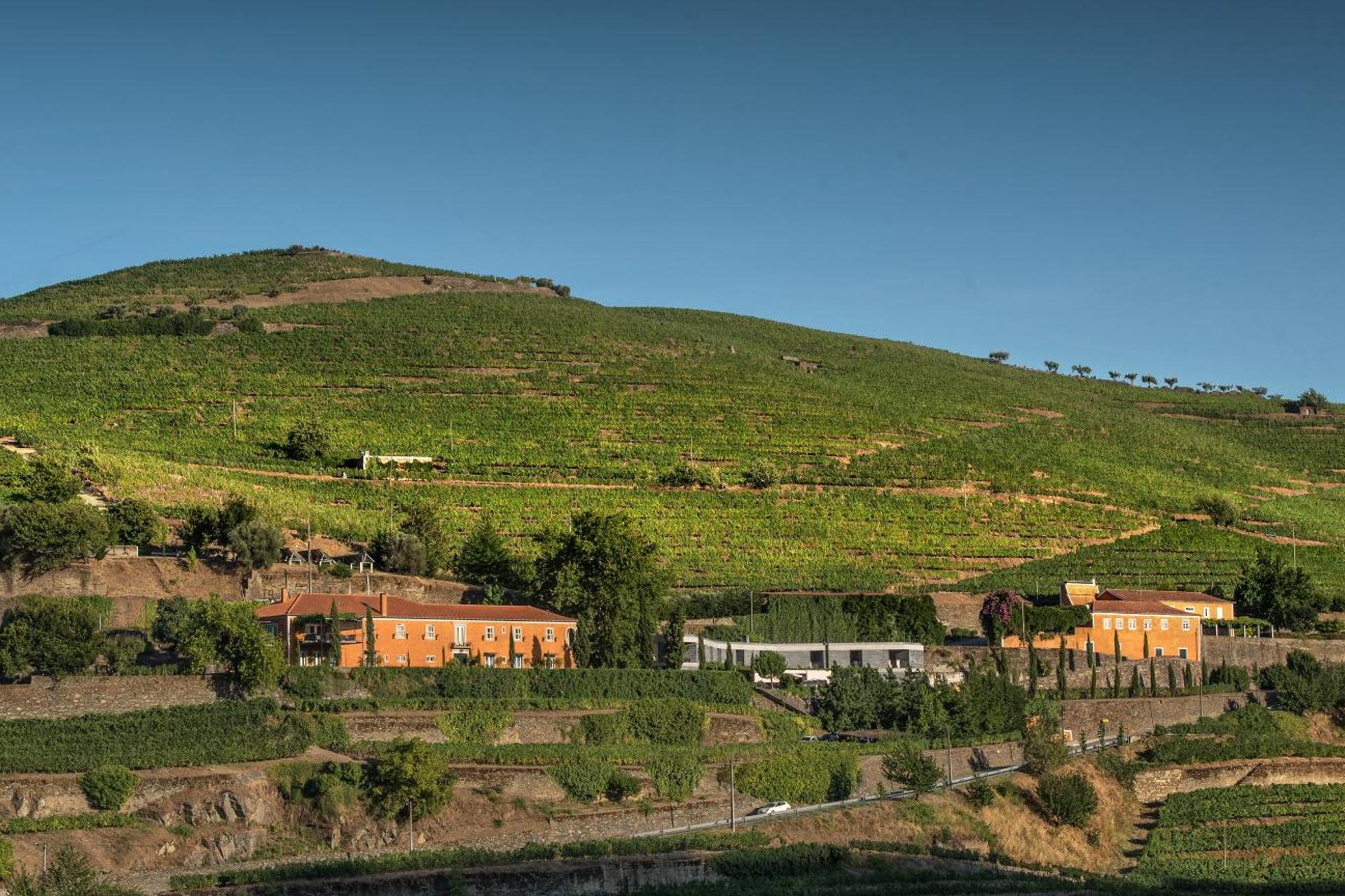 Descubra o Conforto e a Tradição do Quinta do Vallado Wine Hotel - Imagem 12