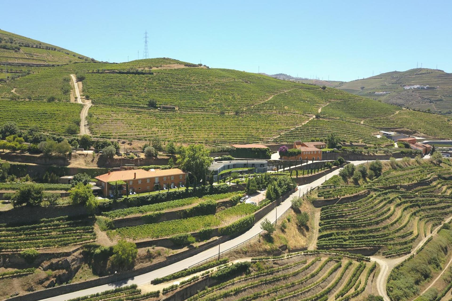 Descubra o Conforto e a Tradição do Quinta do Vallado Wine Hotel - Imagem 20