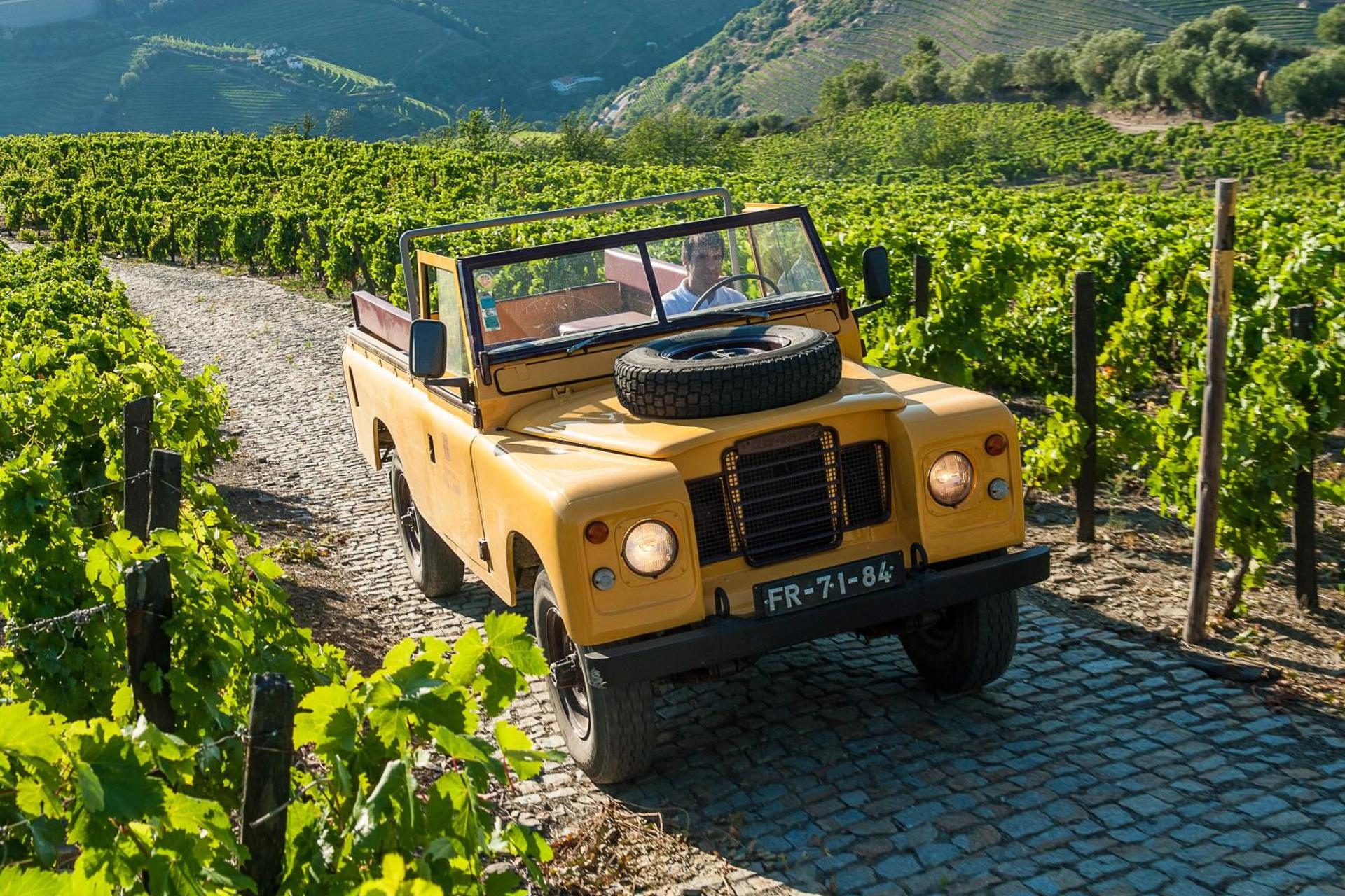 Descubra o Conforto e a Tradição do Quinta do Vallado Wine Hotel - Imagem 21