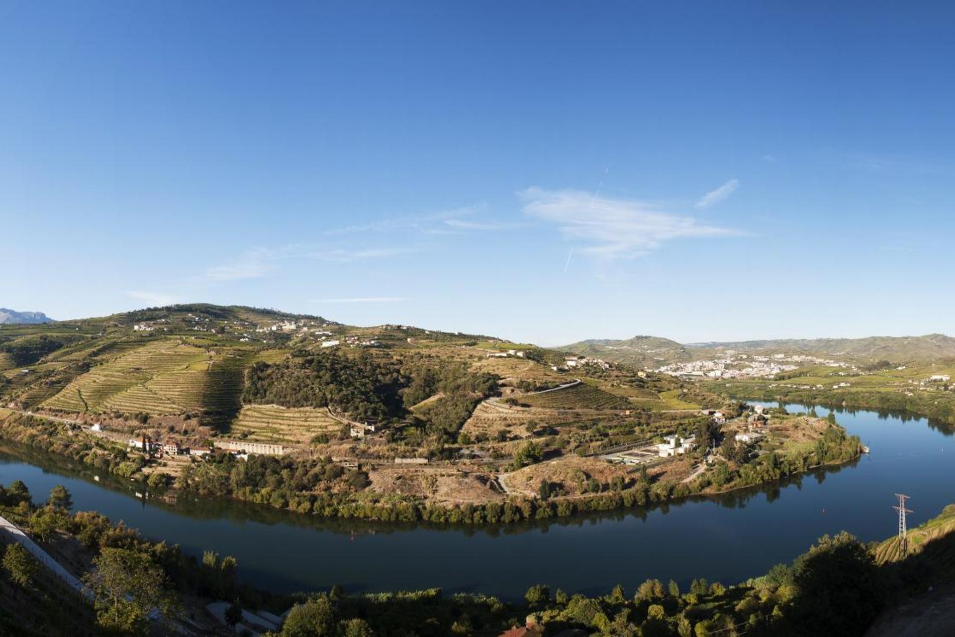Descubra o Conforto e a Tradição do Quinta do Vallado Wine Hotel - Imagem 64