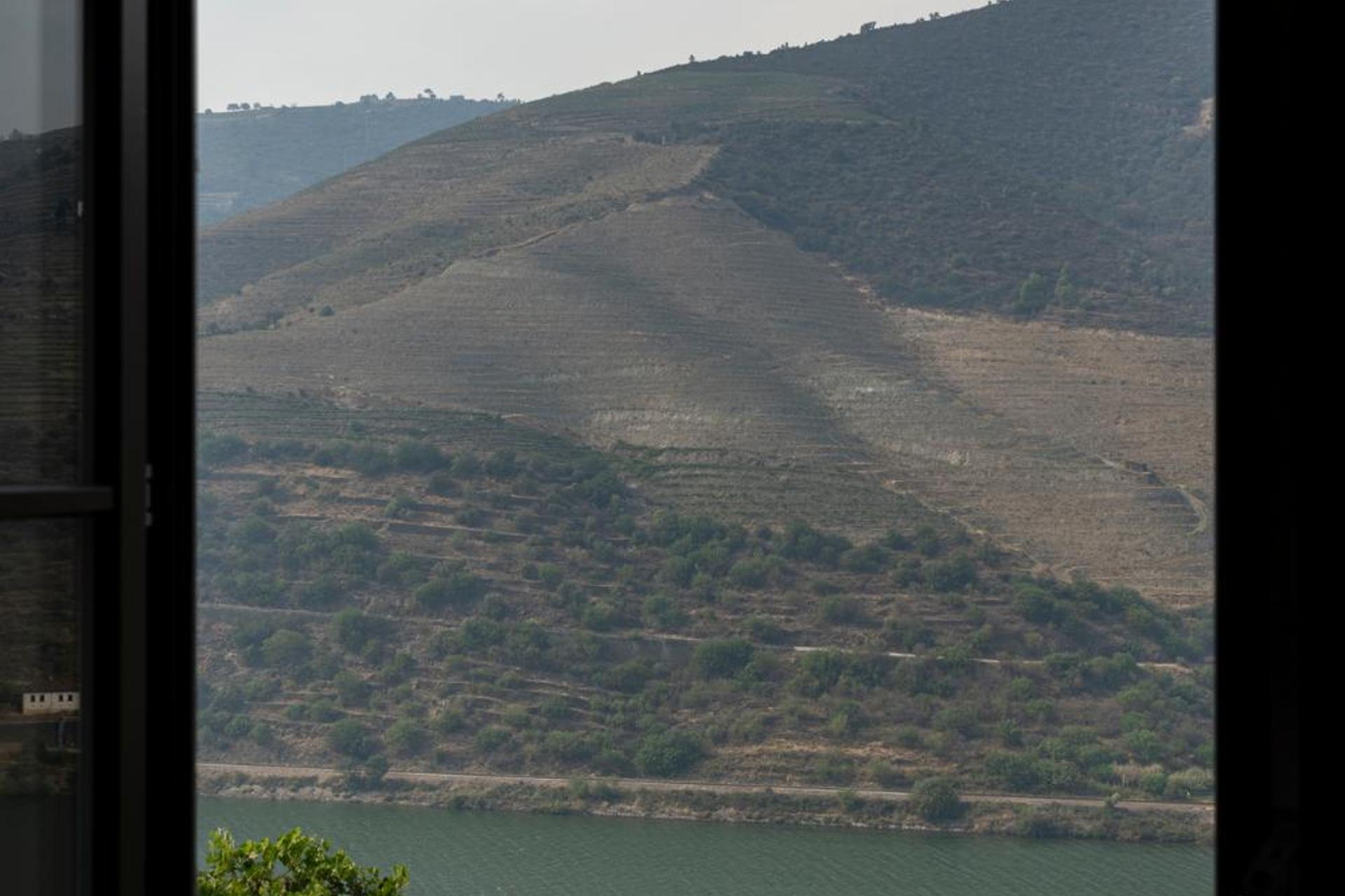 Descubra o Encanto de Quinta São Luiz The Vine House Douro - Imagem 33