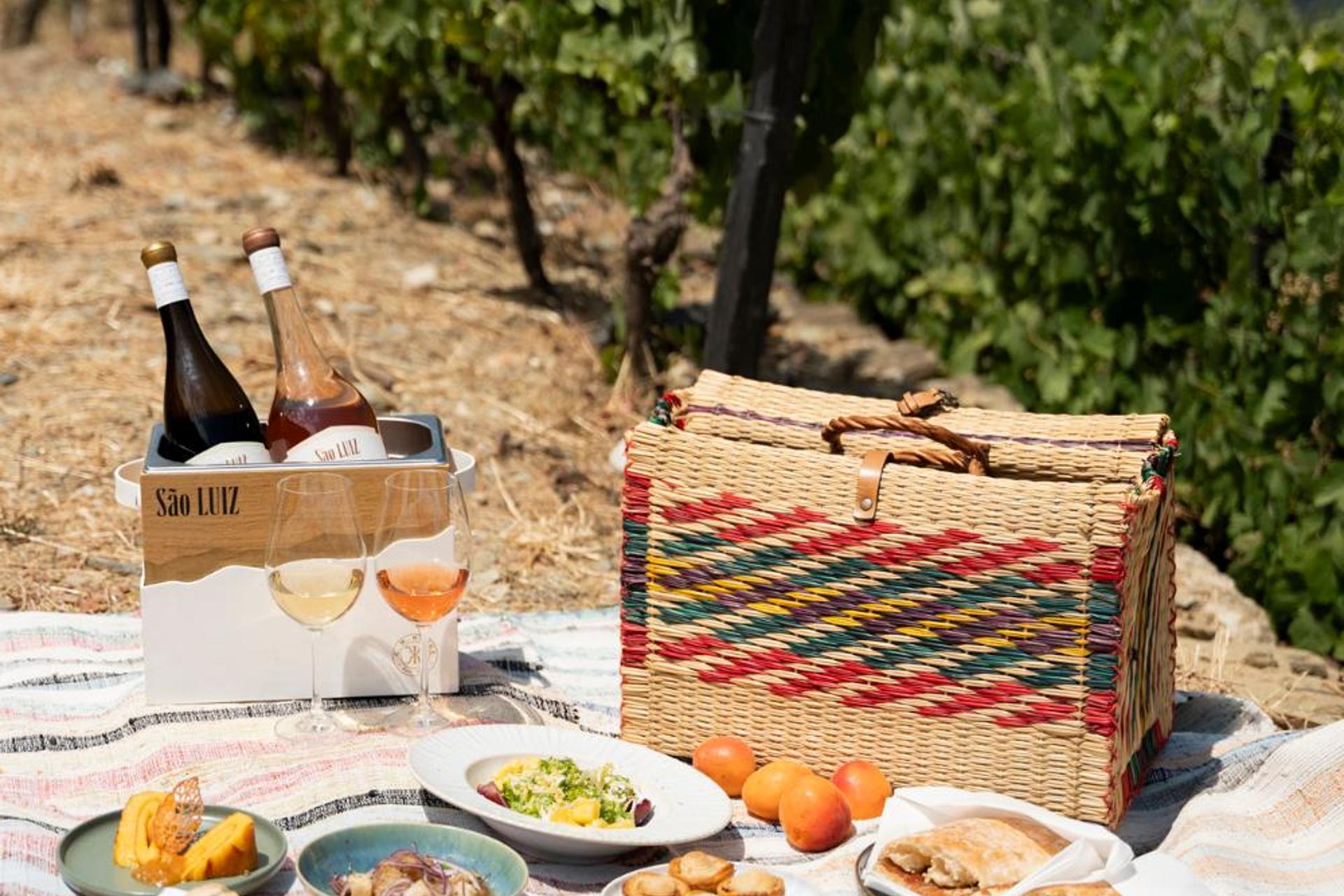 Descubra o Encanto de Quinta São Luiz The Vine House Douro - Imagem 53