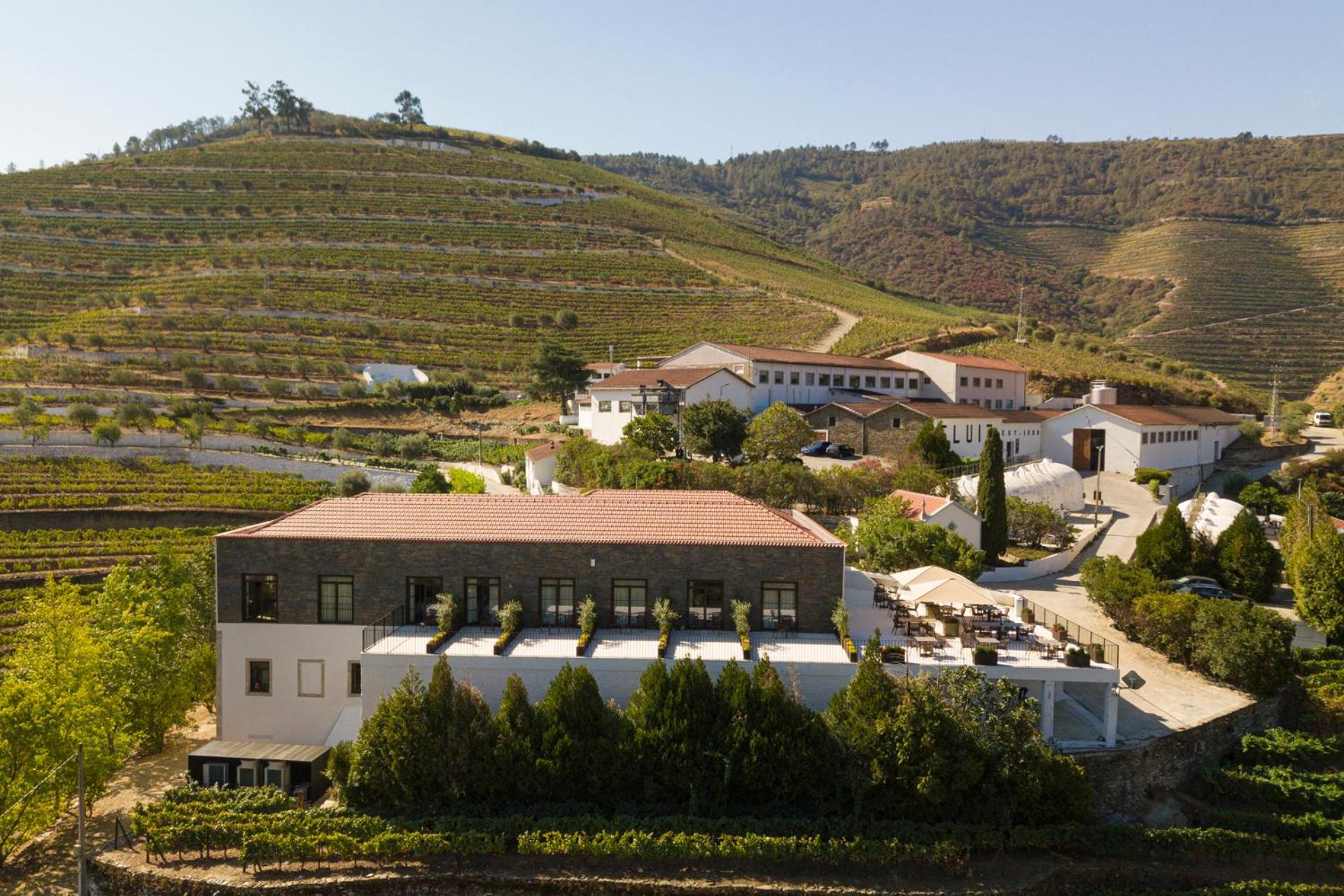 Descubra o Encanto de Quinta São Luiz The Vine House Douro - Imagem 61