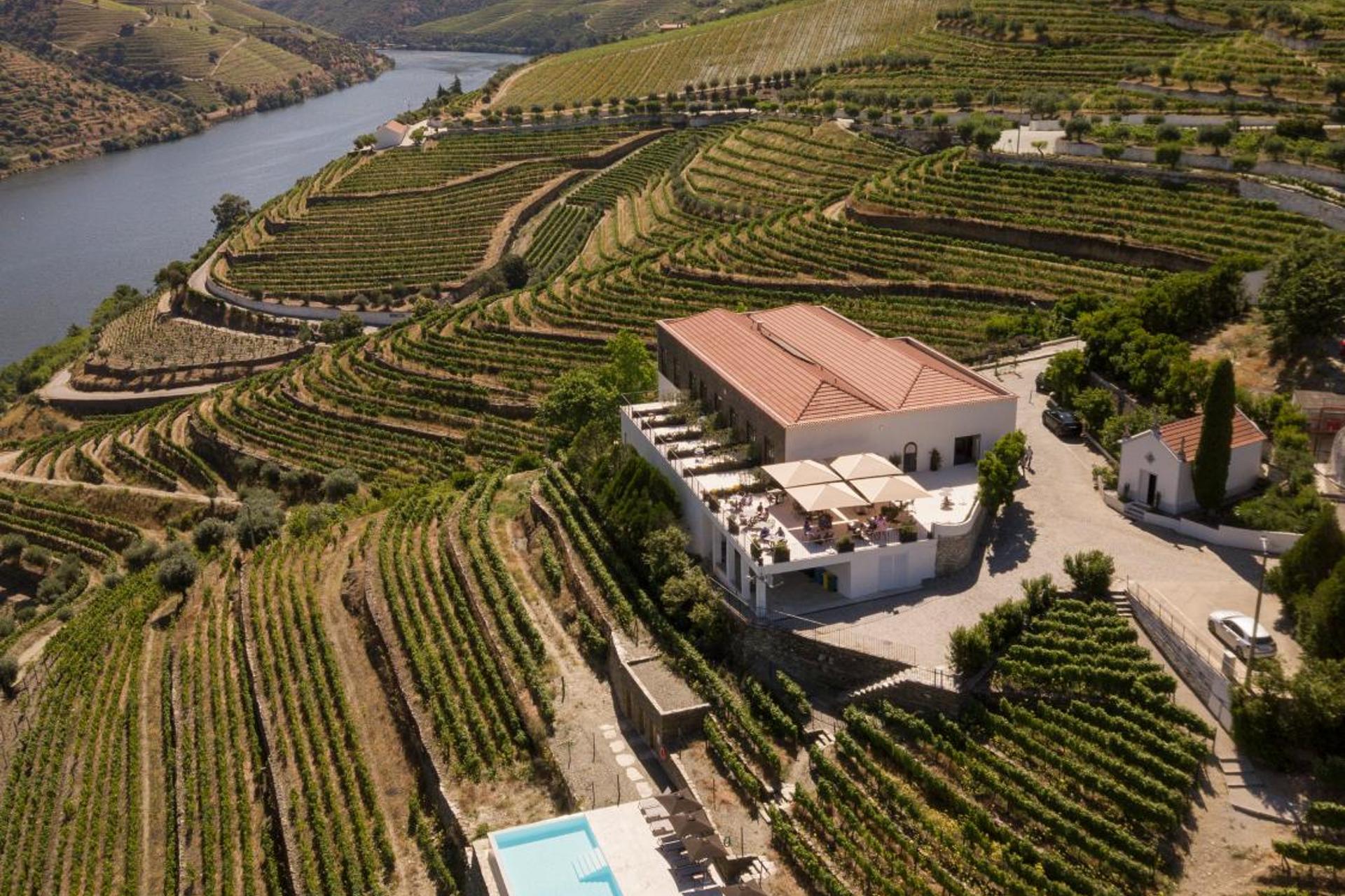Descubra o Encanto de Quinta São Luiz The Vine House Douro - Imagem 66
