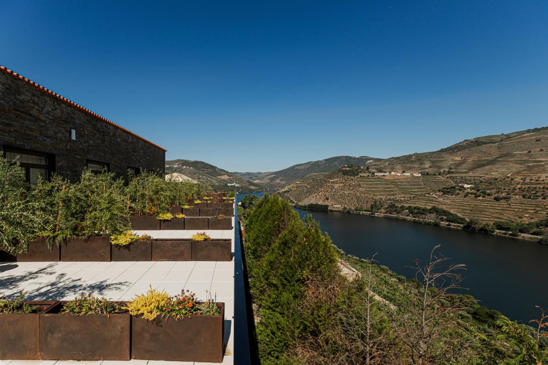 Descubra o Encanto de Quinta São Luiz The Vine House Douro - Imagem 75