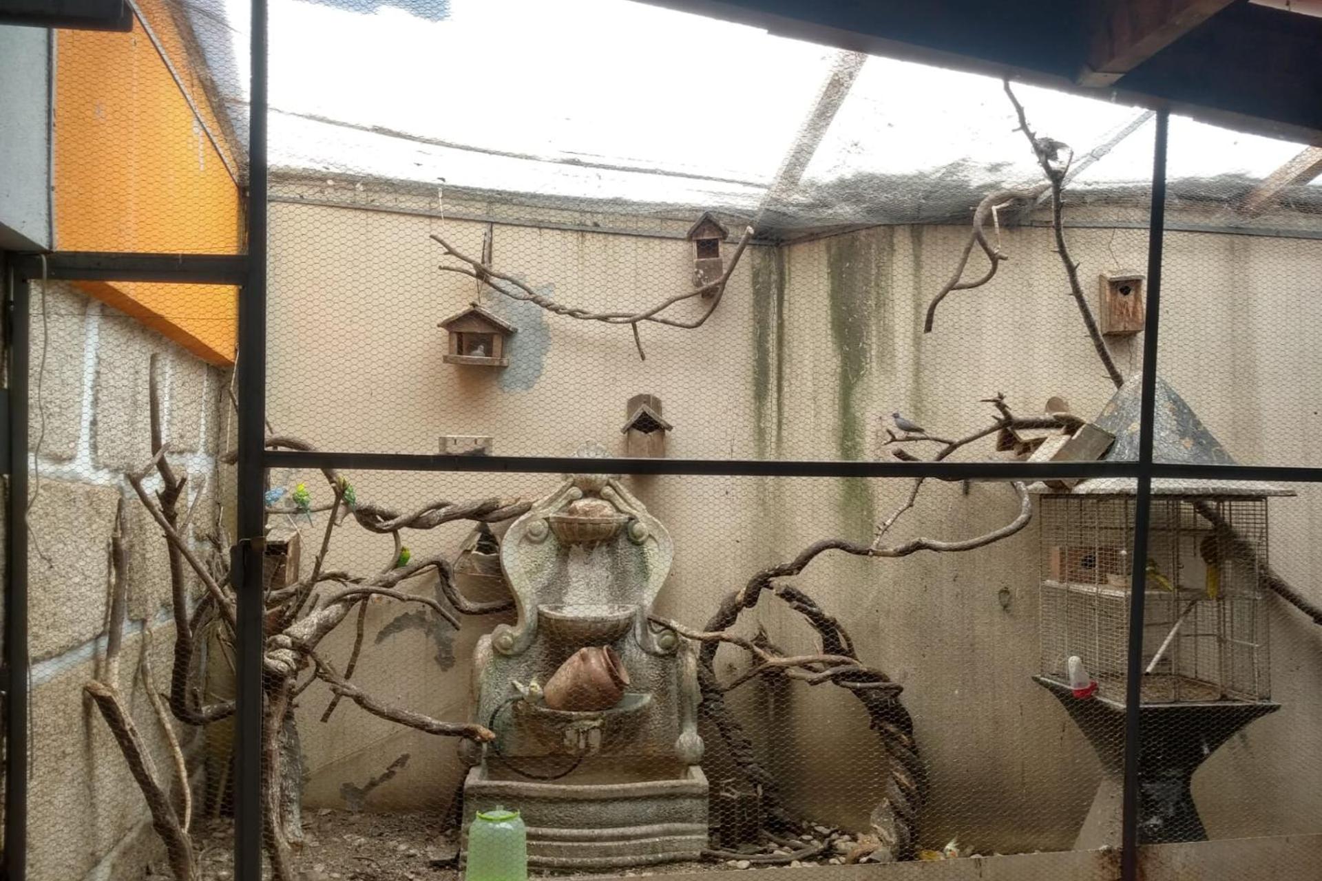 Descubra o Residencial Montanhês: Onde Conforto e Hospitalidade se Encontram - Imagem 53