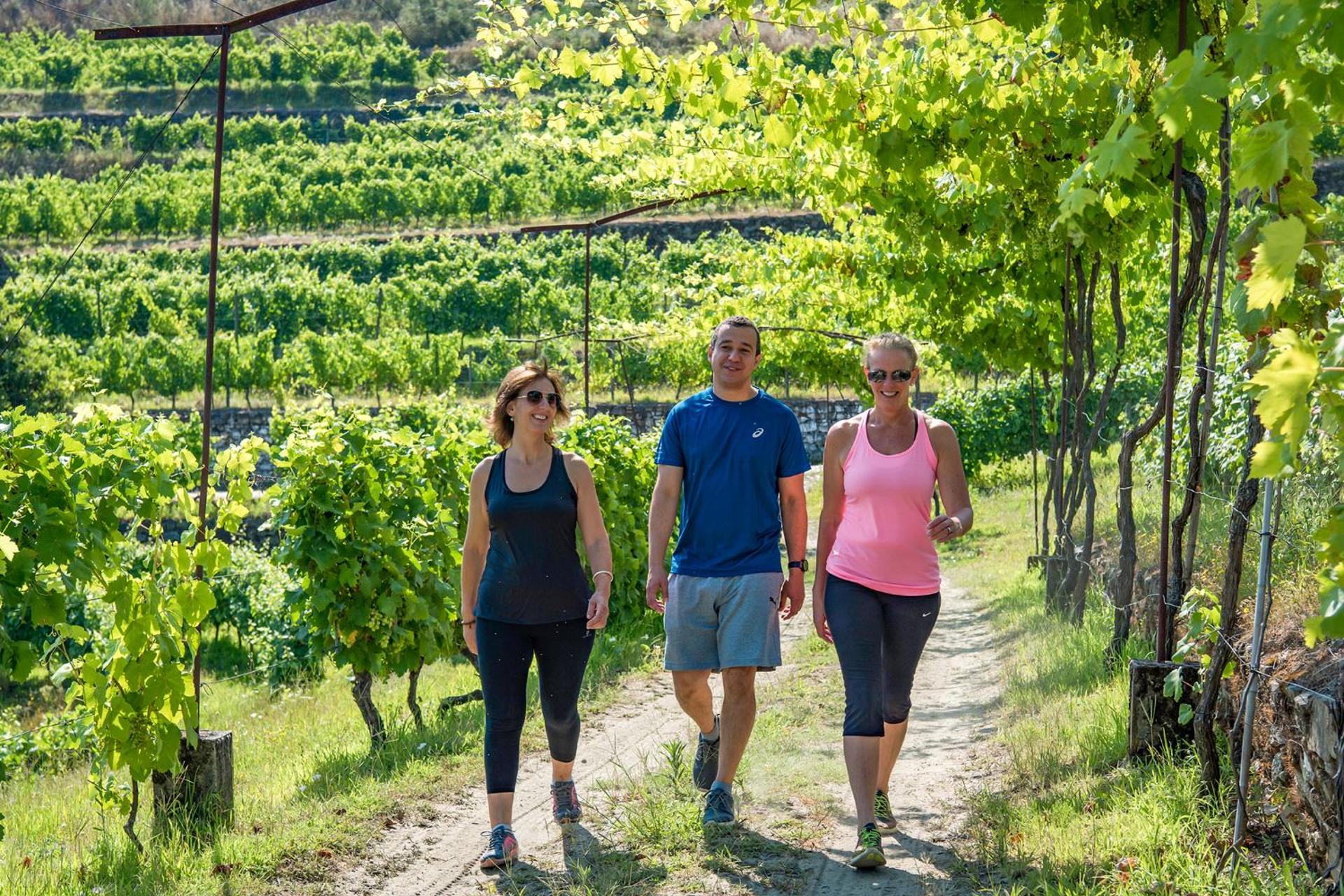 Descubra o Luxo e a Tradição no Six Senses Douro Valley - Imagem 36