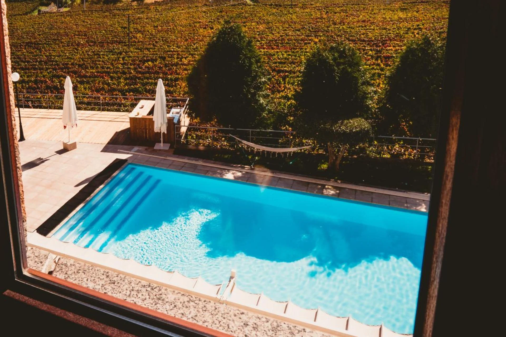 Experience Tranquility at Solar Quinta da Portela - Douro - Imagem 18