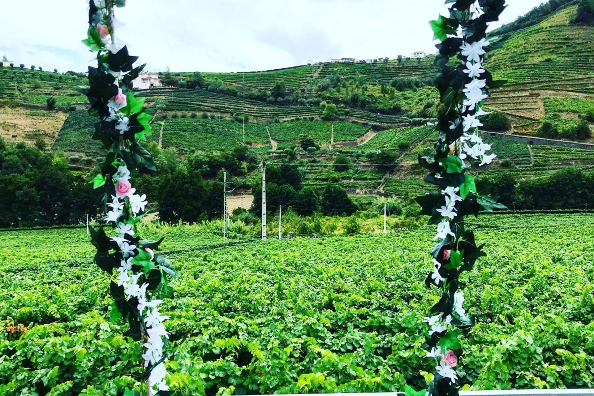 Experience Tranquility at Solar Quinta da Portela - Douro - Imagem 40