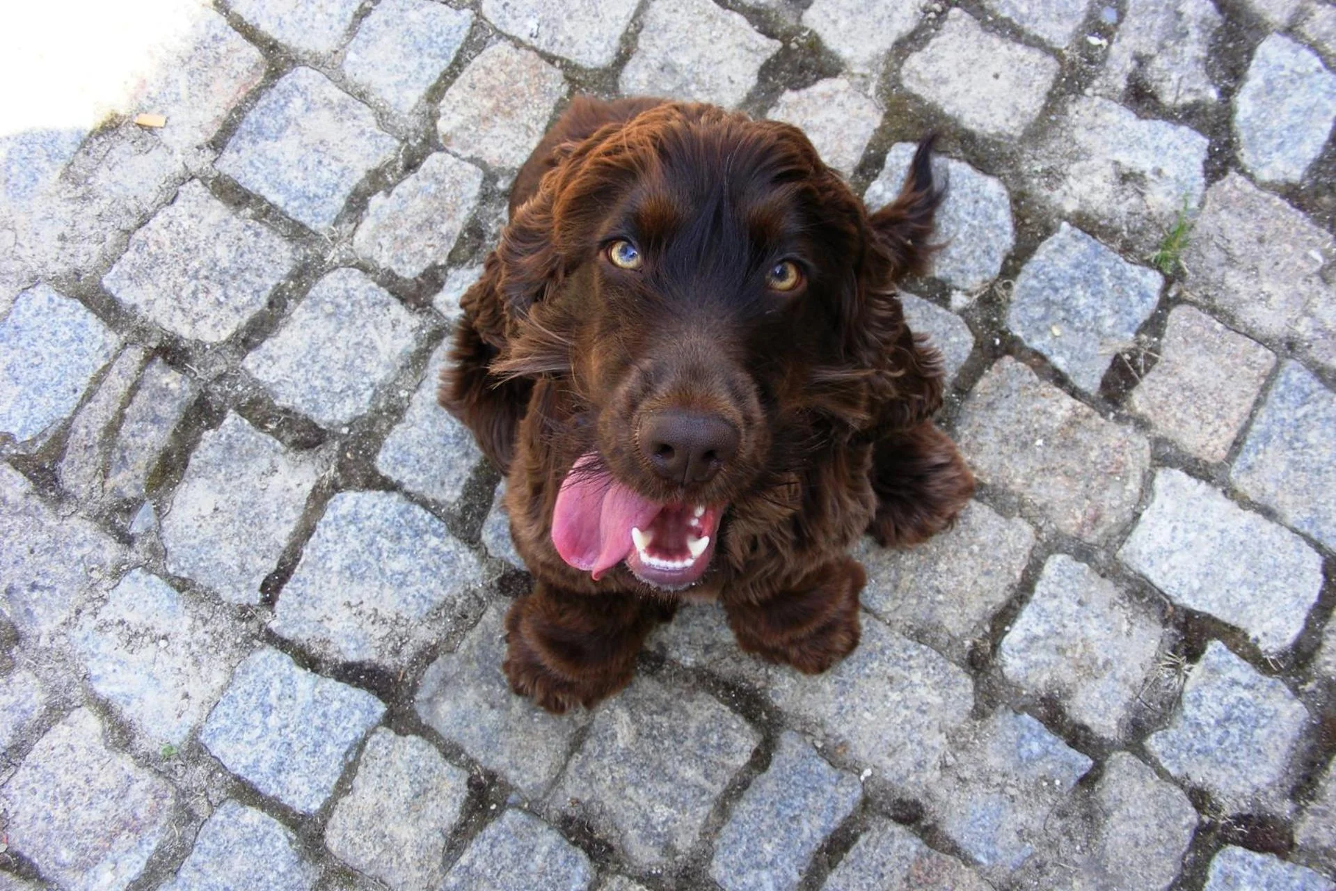 Experience Tranquility at Solar Quinta da Portela - Douro - Imagem 48