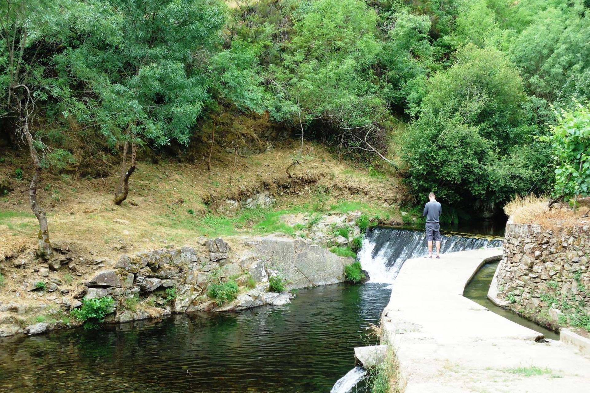 Experience Tranquility at Solar Quinta da Portela - Douro - Imagem 51