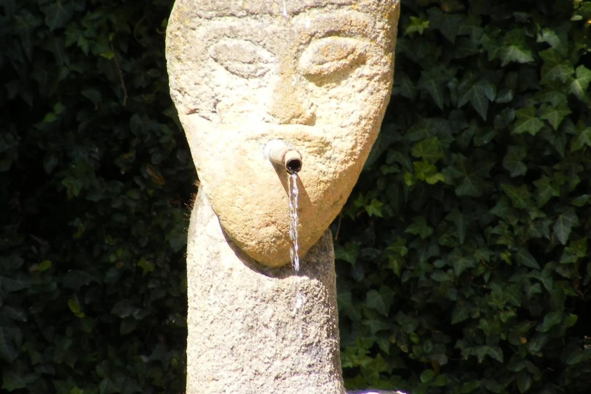 Experience Tranquility at Solar Quinta da Portela - Douro - Imagem 52