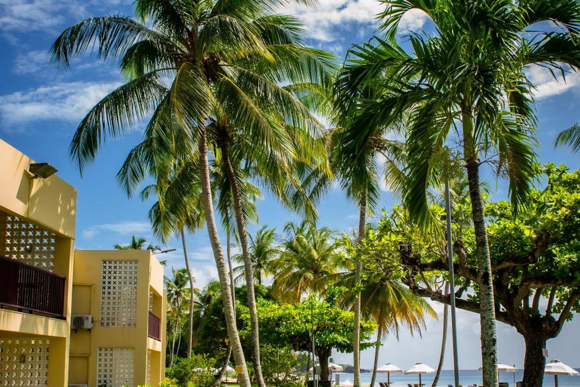 Starfish Tobago - Image 19