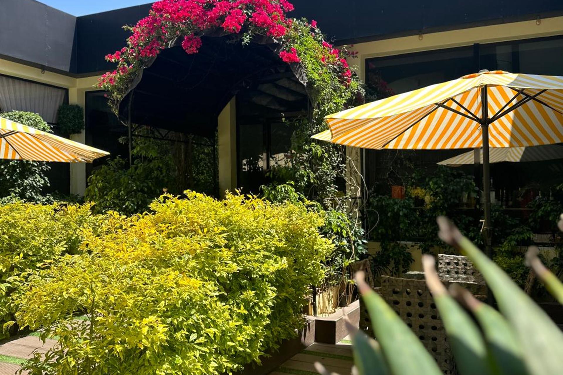 The Palms Luxury Boutique Hotel - Image 12