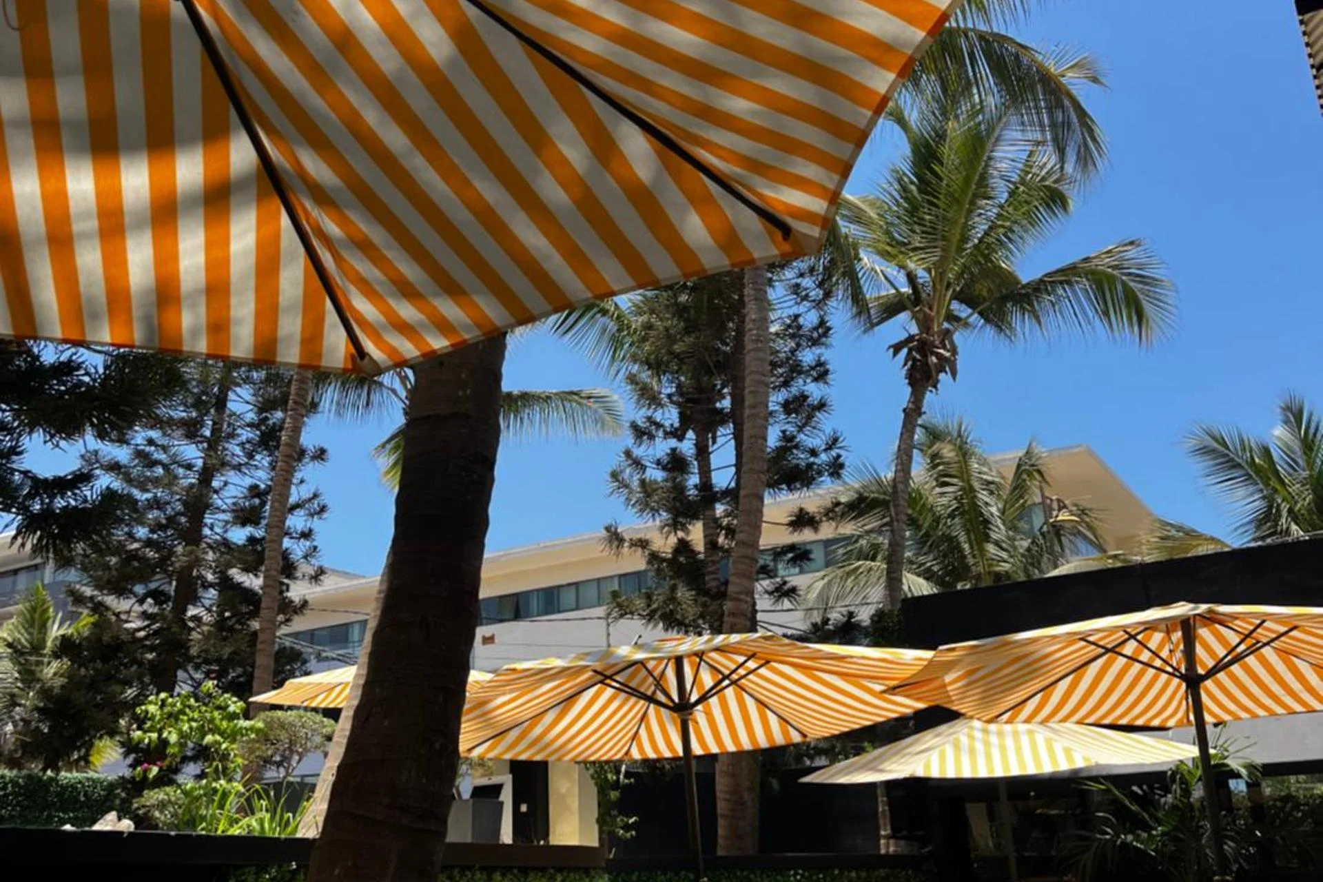 The Palms Luxury Boutique Hotel - Image 14