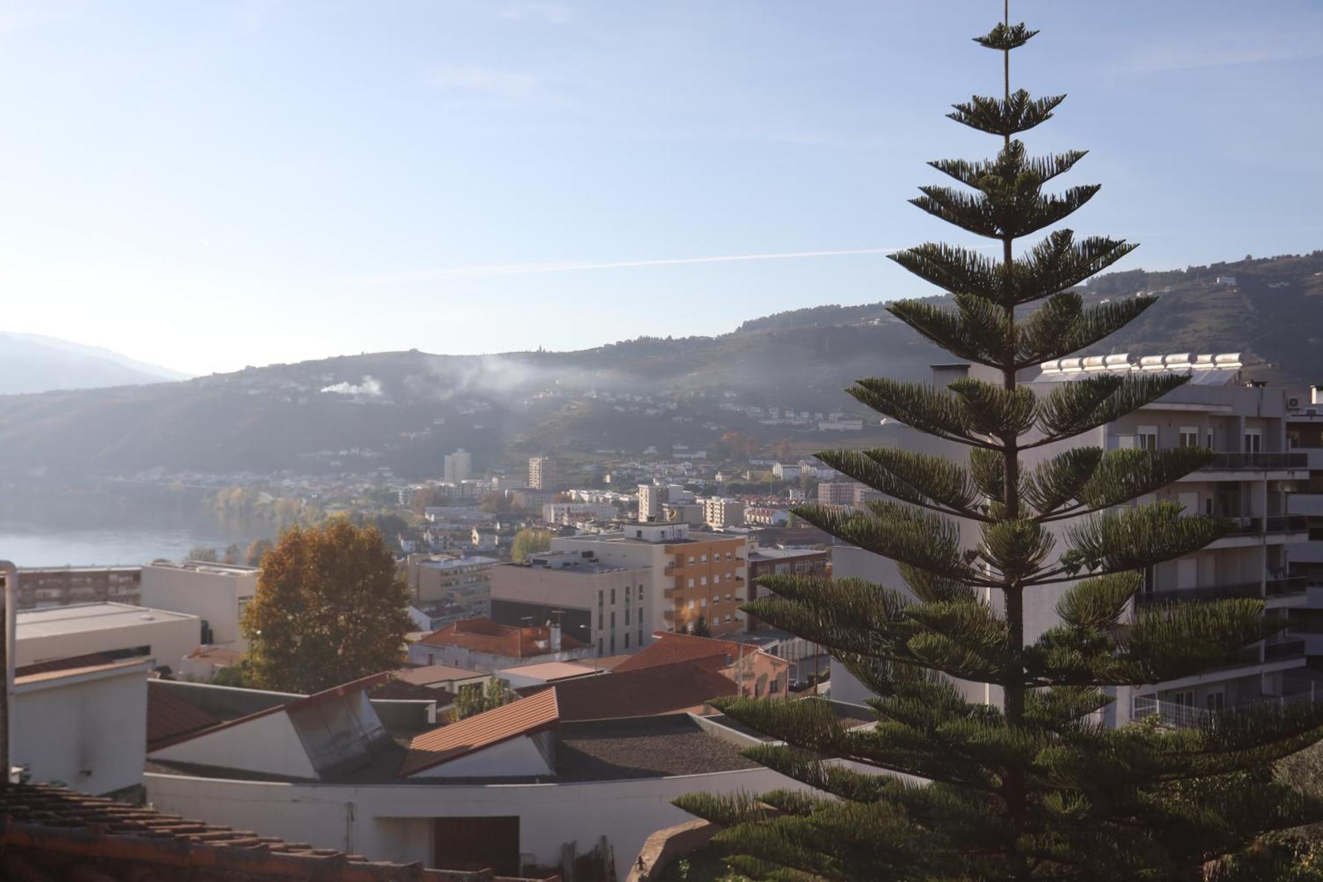 Descubra O Pine House: O Destino Perfeito Para Todos - Imagem 46