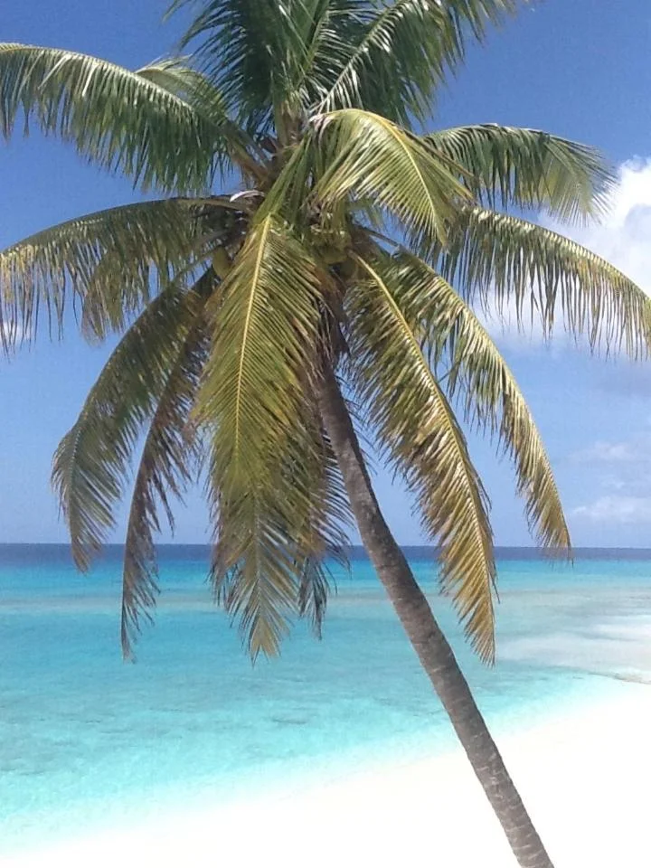 The Sands Hotel - Image 13