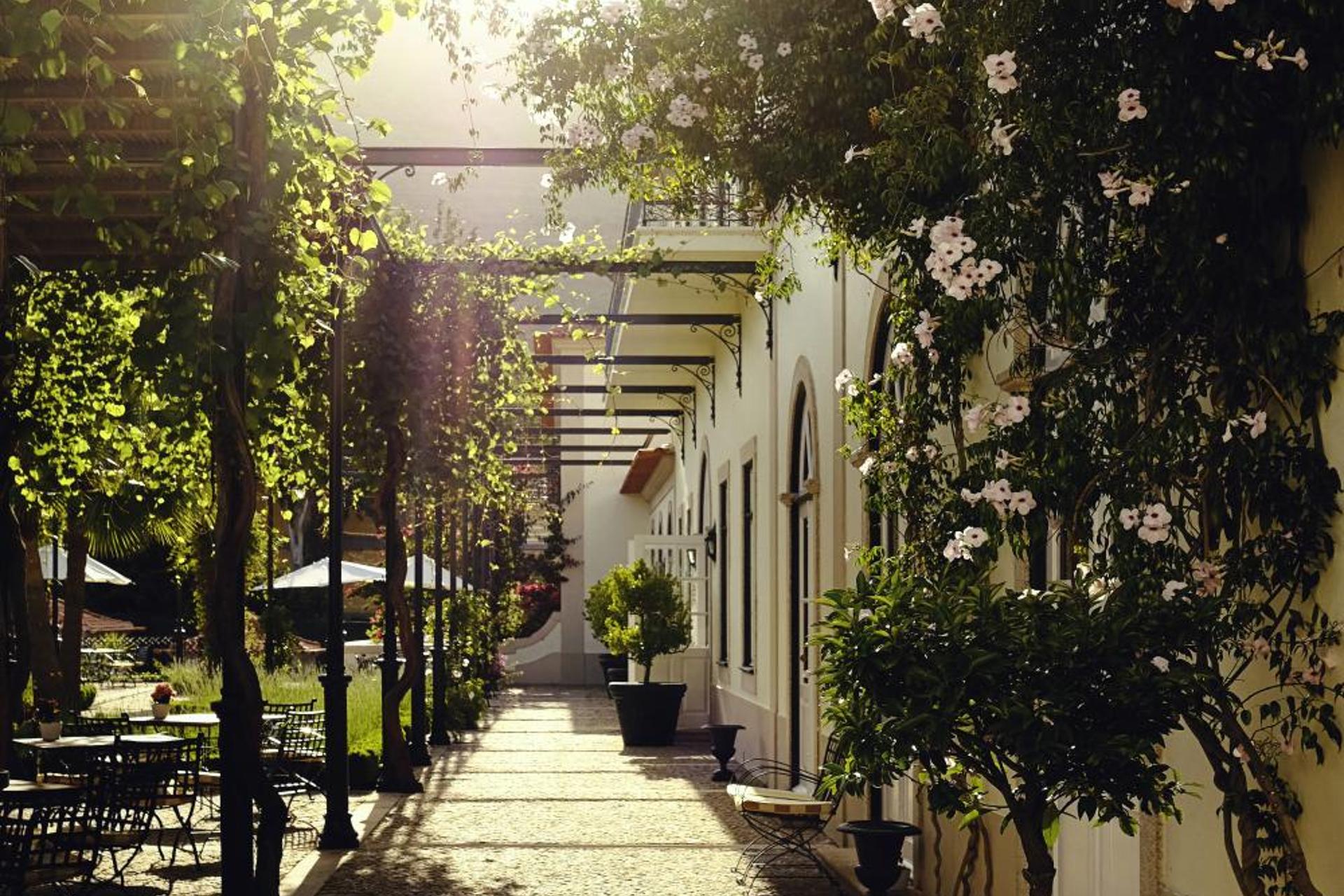 Descubra o Vintage House - Douro: Um Refúgio de Conforto e Elegância - Imagem 69