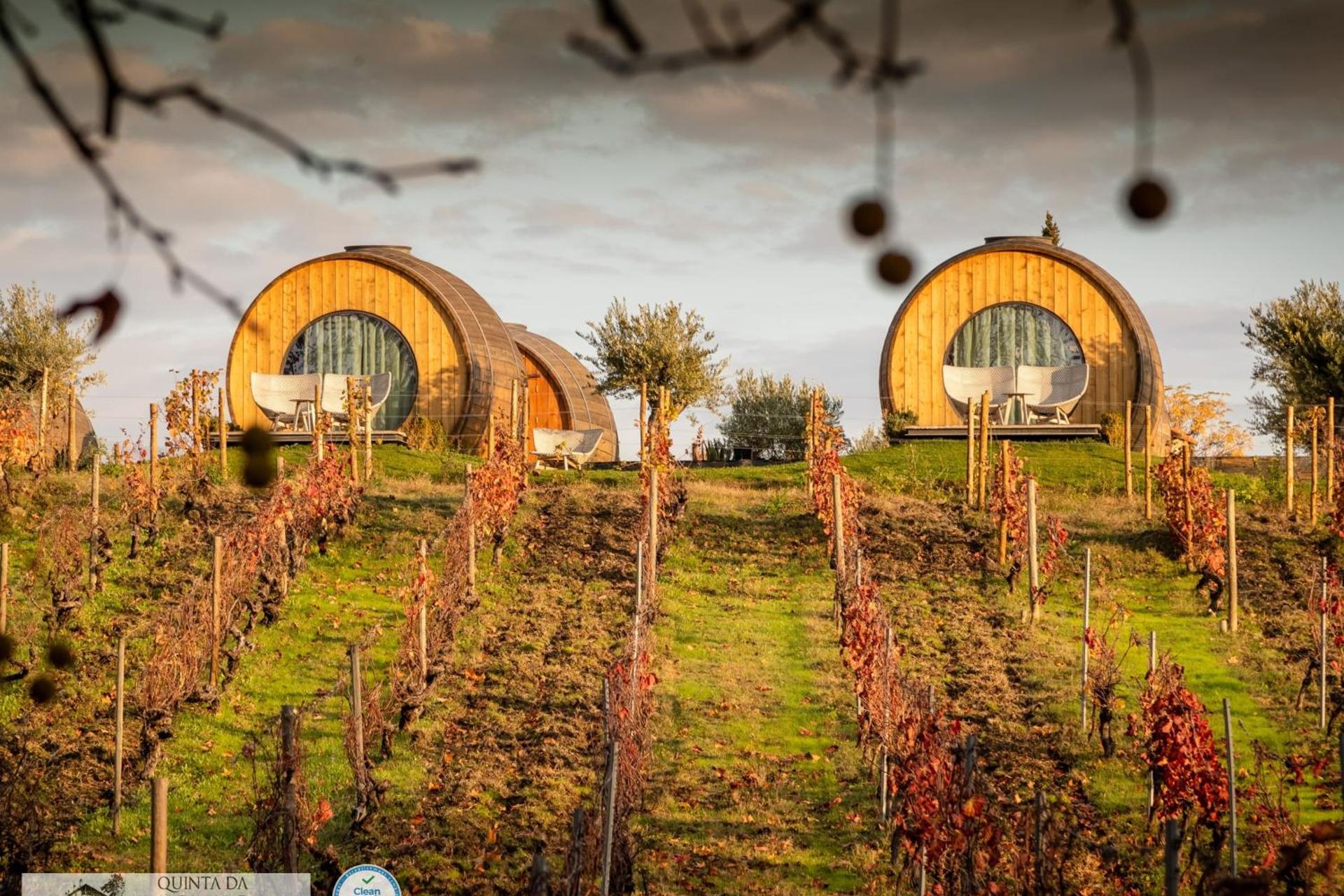 A Descoberta do Wine House Hotel - Quinta da Pacheca - Imagem 25