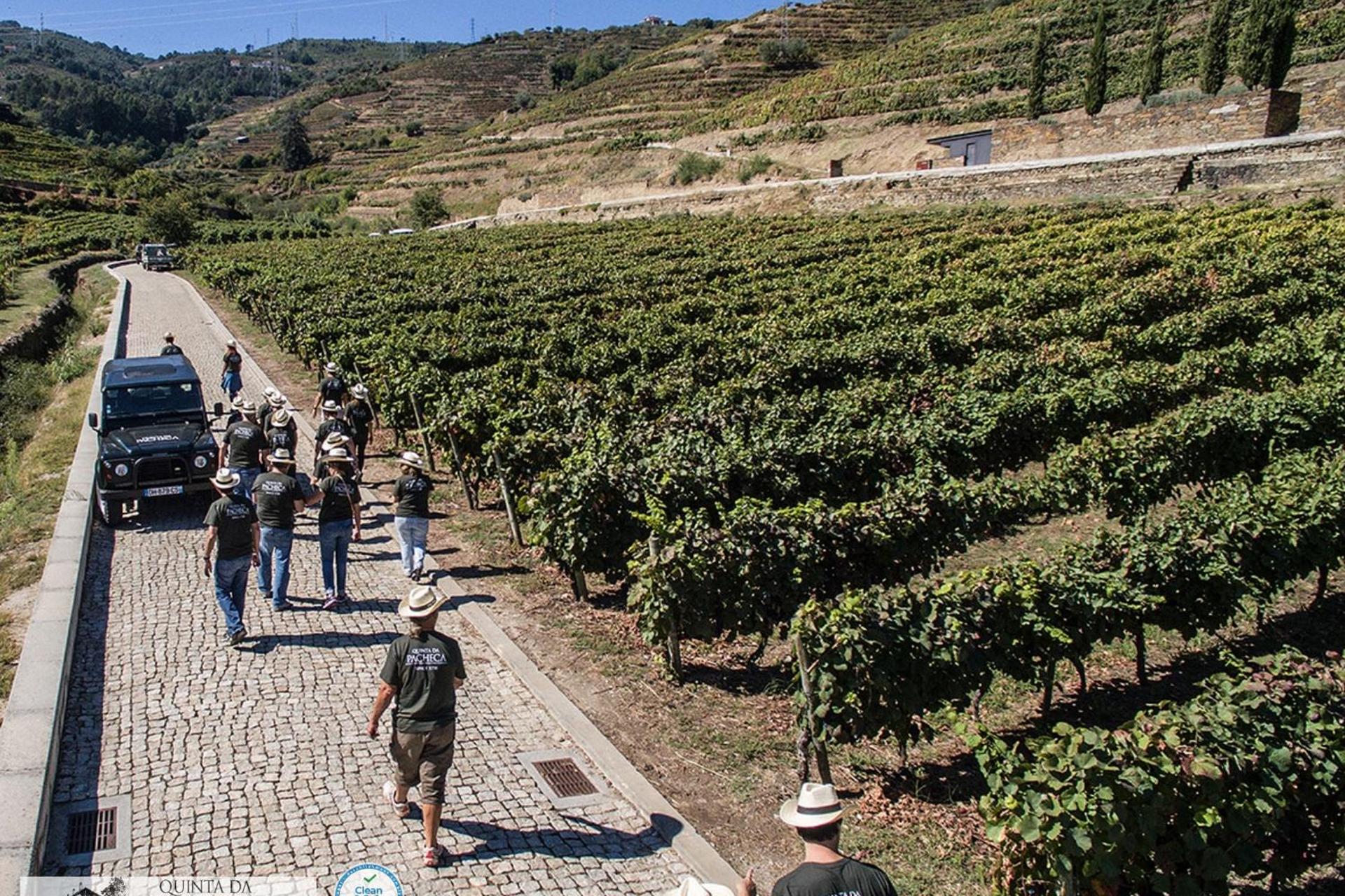 A Descoberta do Wine House Hotel - Quinta da Pacheca - Imagem 39