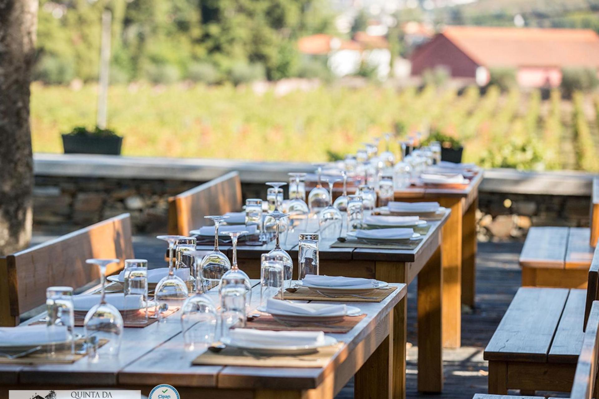 A Descoberta do Wine House Hotel - Quinta da Pacheca - Imagem 41