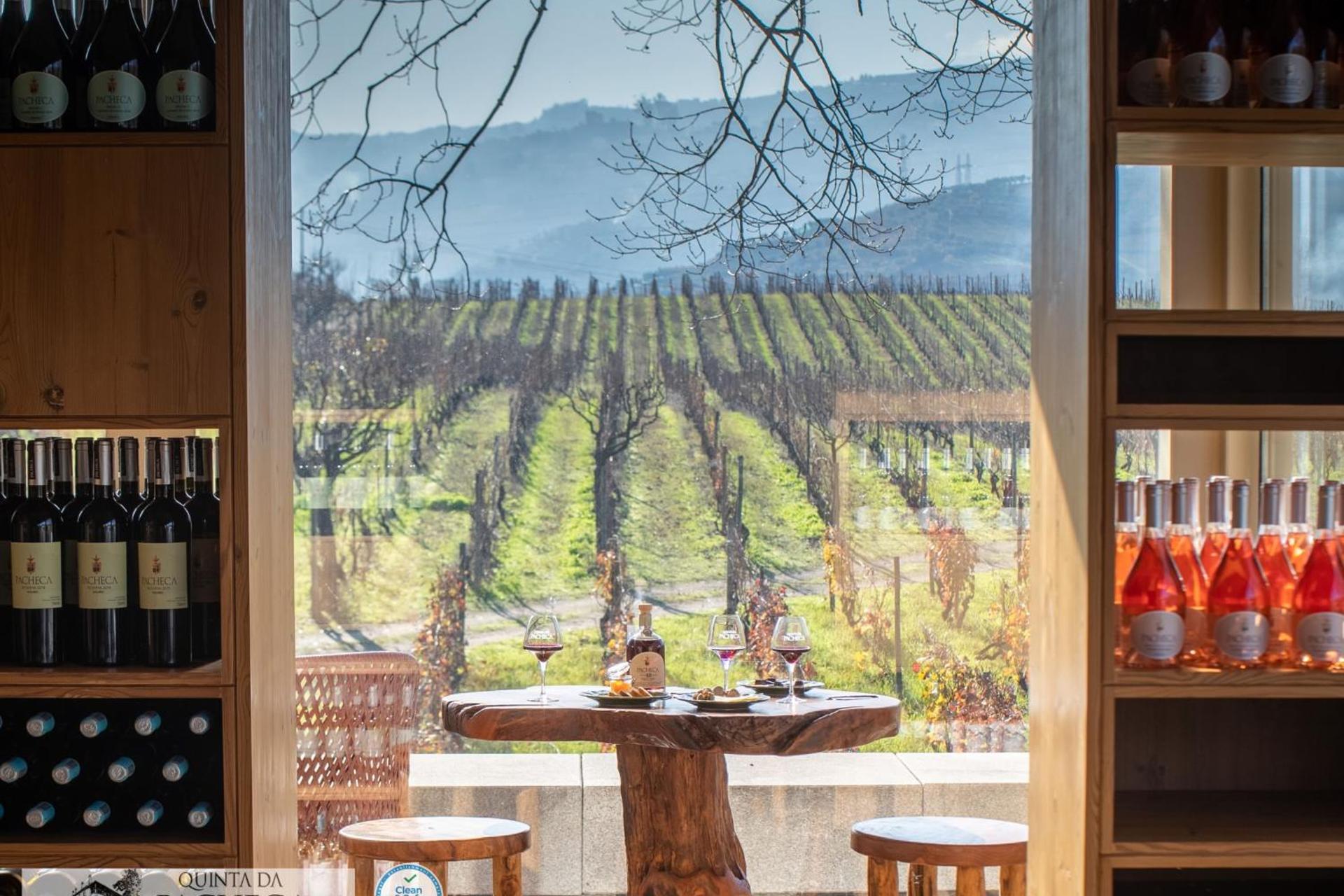 A Descoberta do Wine House Hotel - Quinta da Pacheca - Imagem 44