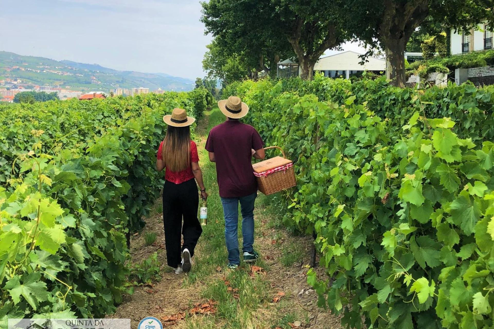 A Descoberta do Wine House Hotel - Quinta da Pacheca - Imagem 48