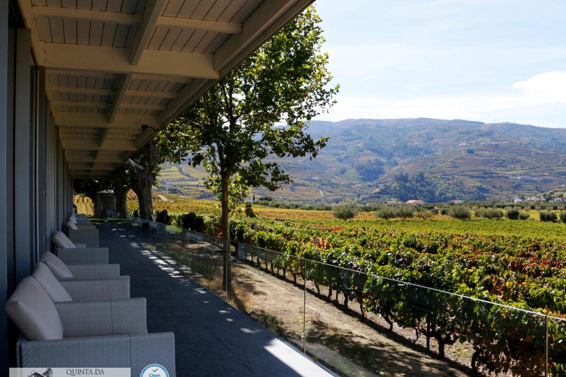 A Descoberta do Wine House Hotel - Quinta da Pacheca - Imagem 50