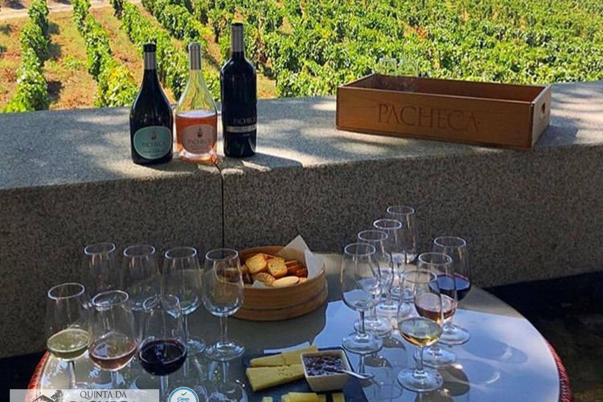 A Descoberta do Wine House Hotel - Quinta da Pacheca - Imagem 52