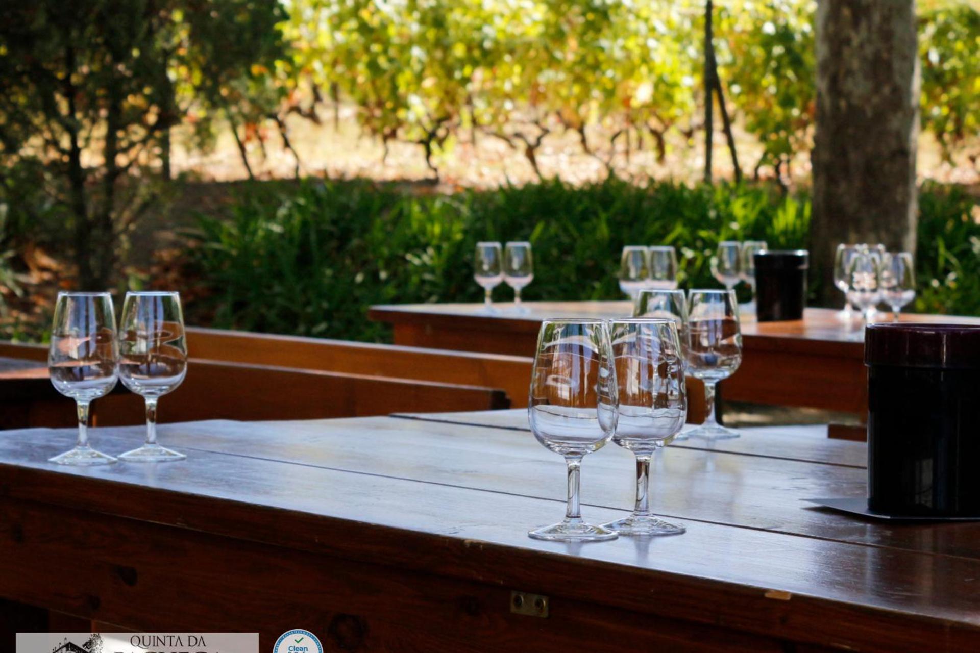 A Descoberta do Wine House Hotel - Quinta da Pacheca - Imagem 54