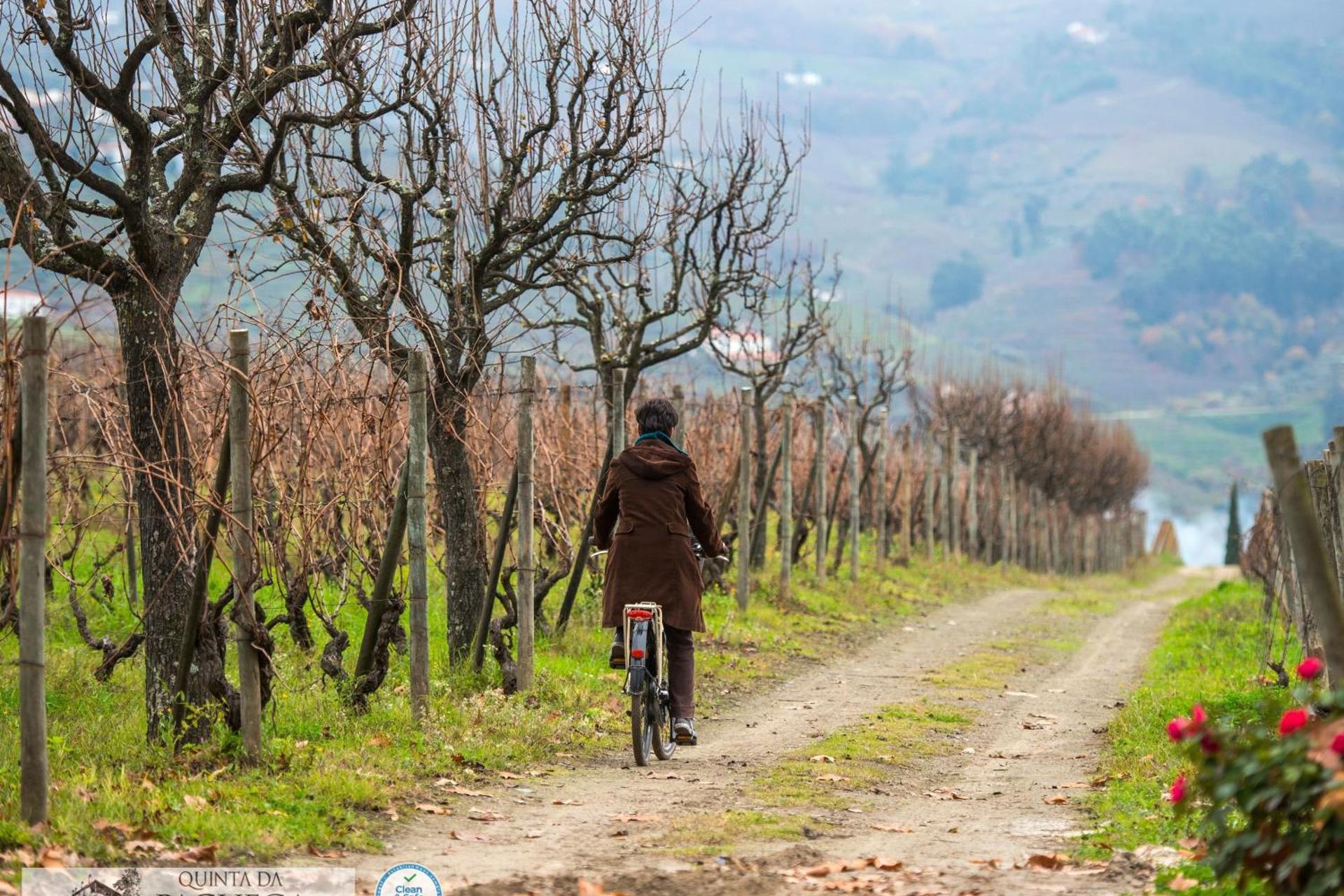 A Descoberta do Wine House Hotel - Quinta da Pacheca - Imagem 55